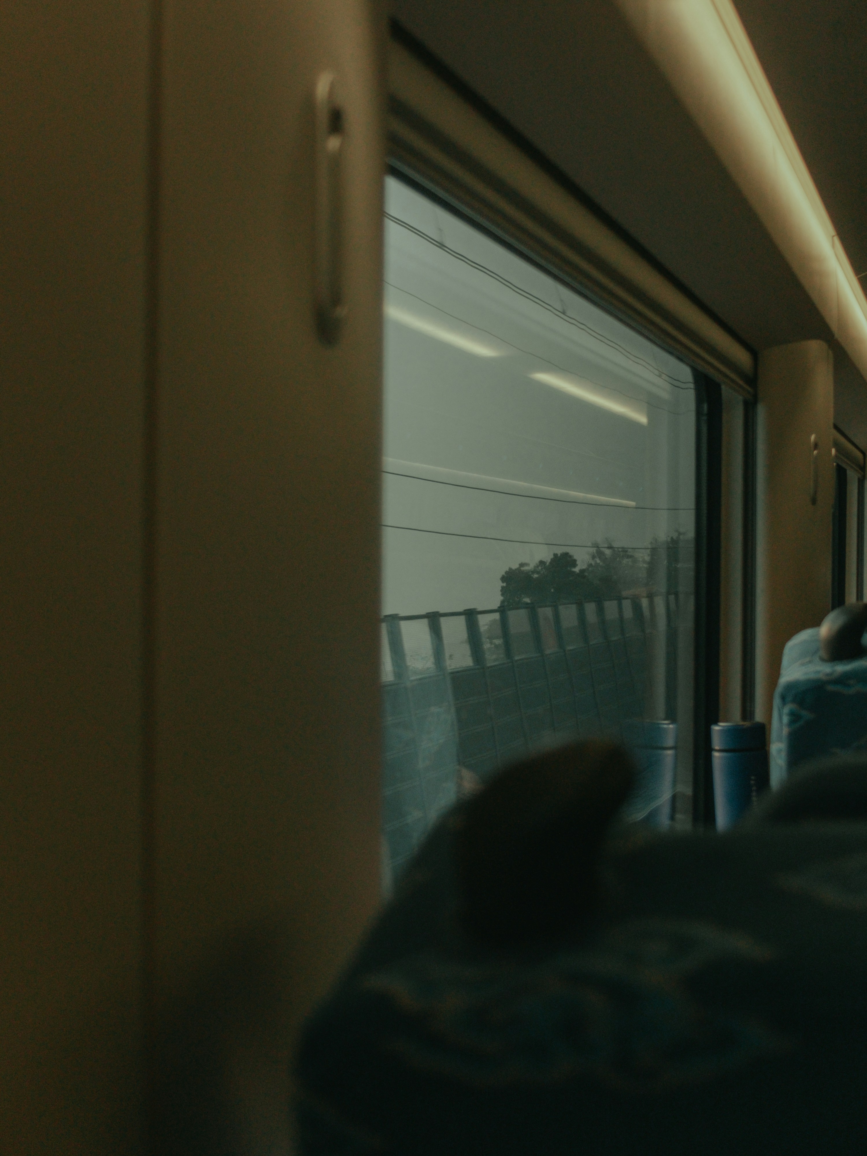 Photo by davidkristianto