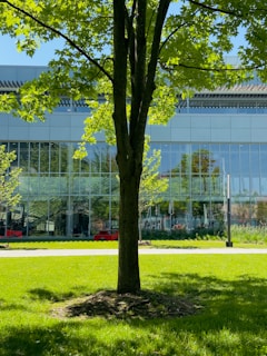 a large glass building with a tree in front of it