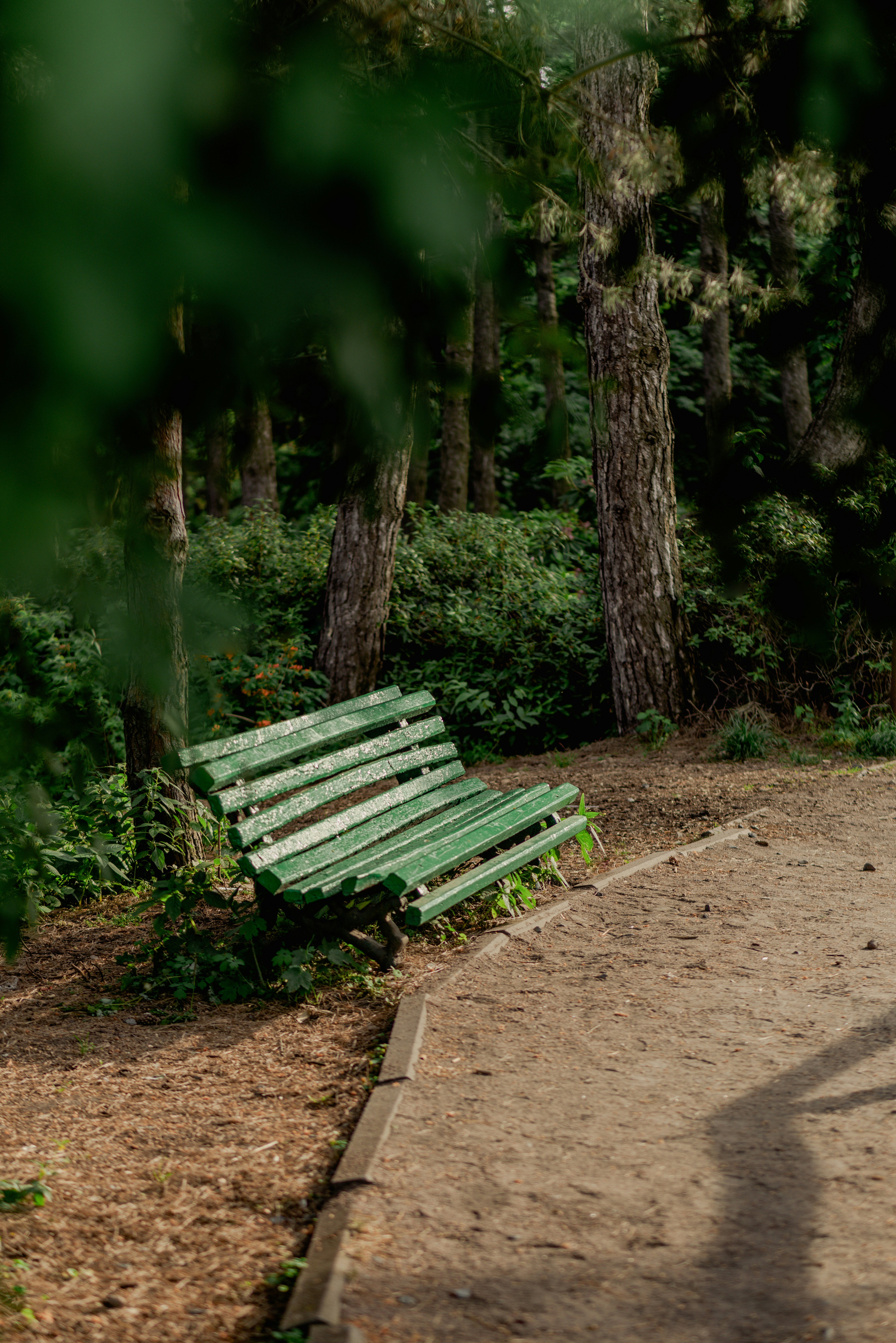 Photo by eugenivy_now