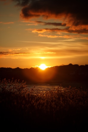 the sun is setting over a body of water