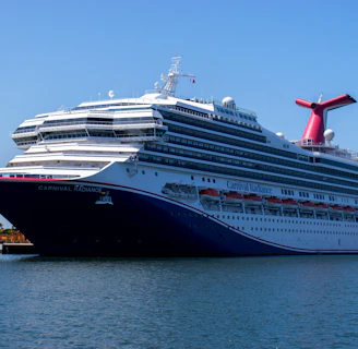 a large cruise ship in a body of water