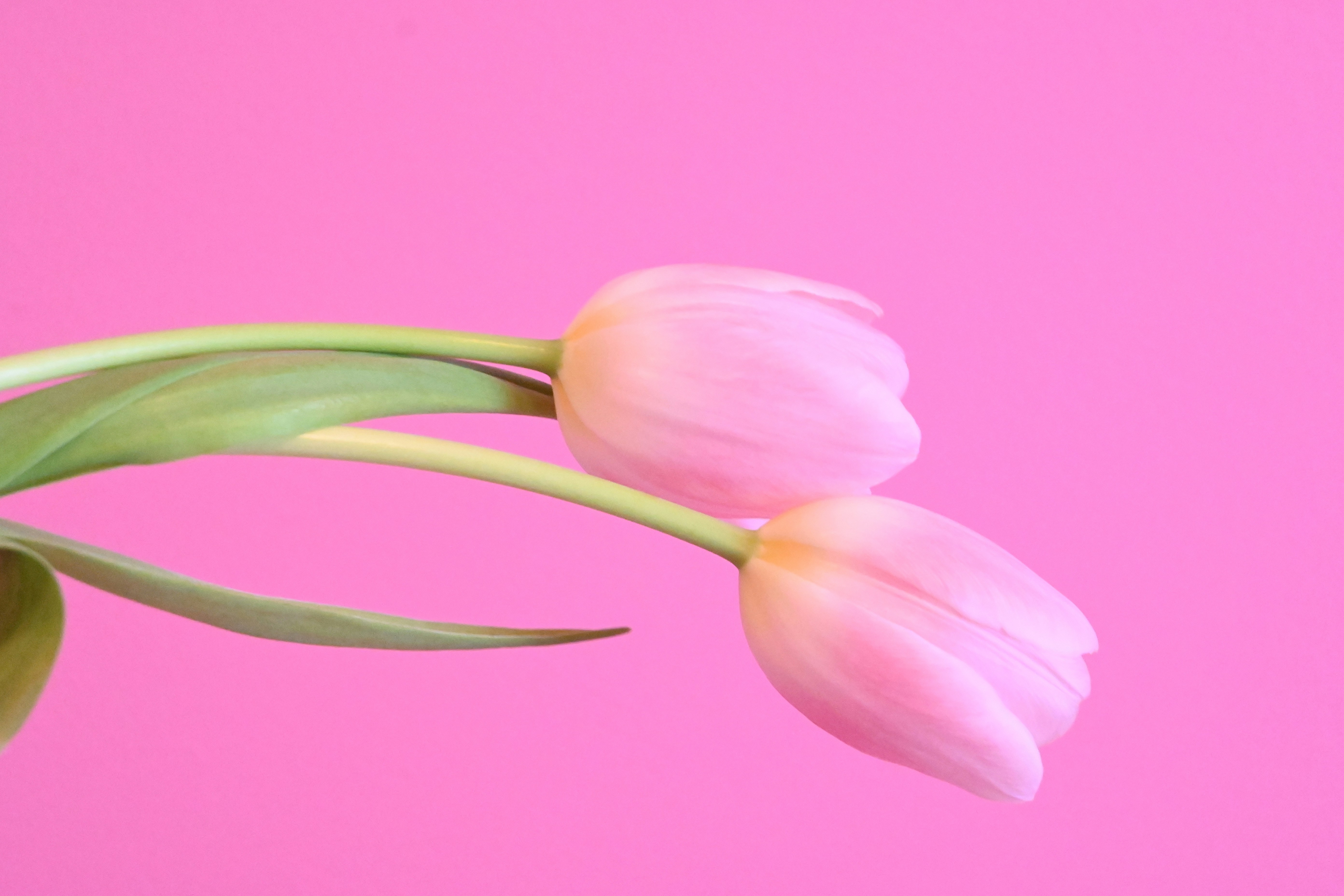 Photo by karolinabobek