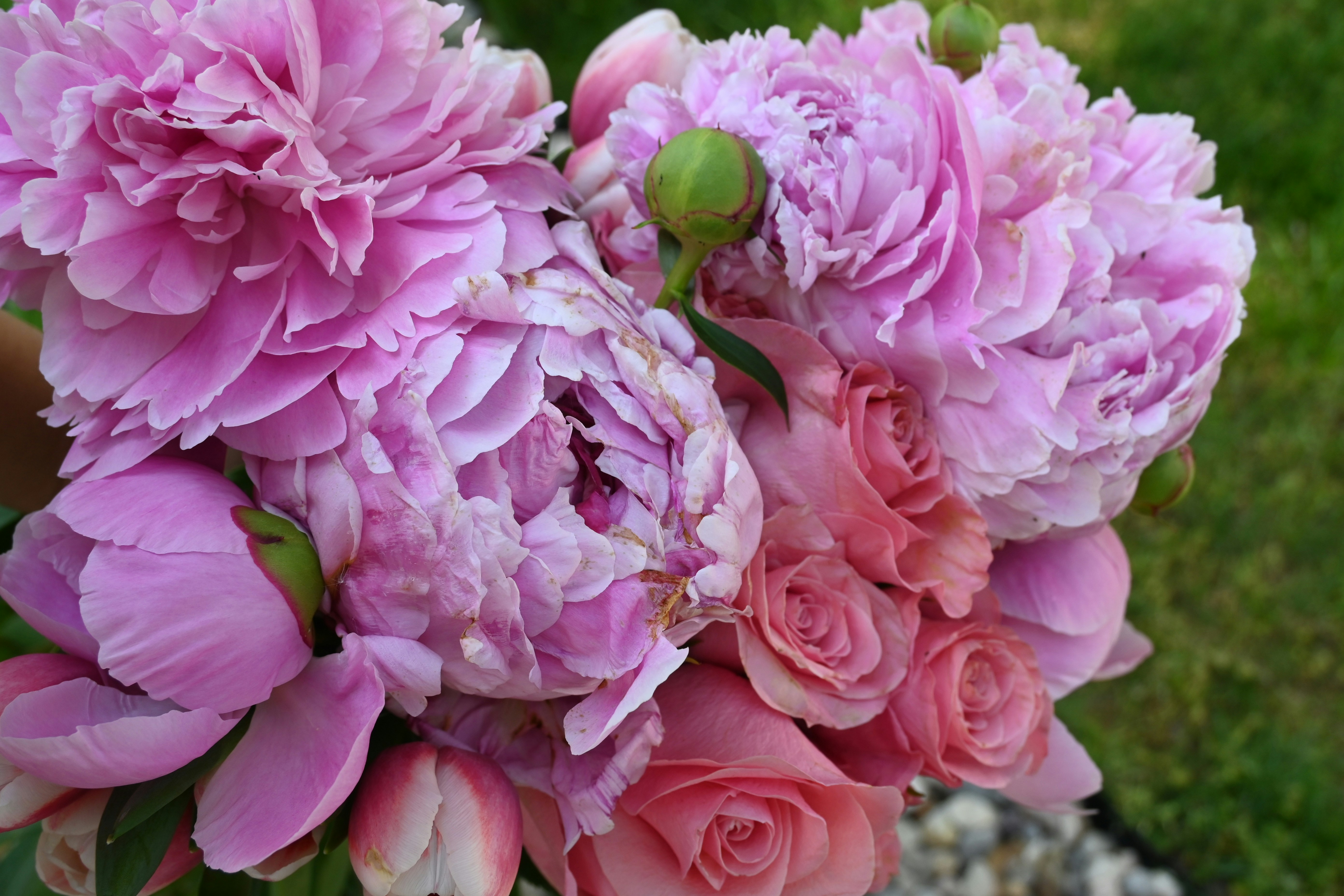 a bouquet of pink flowers in a vase