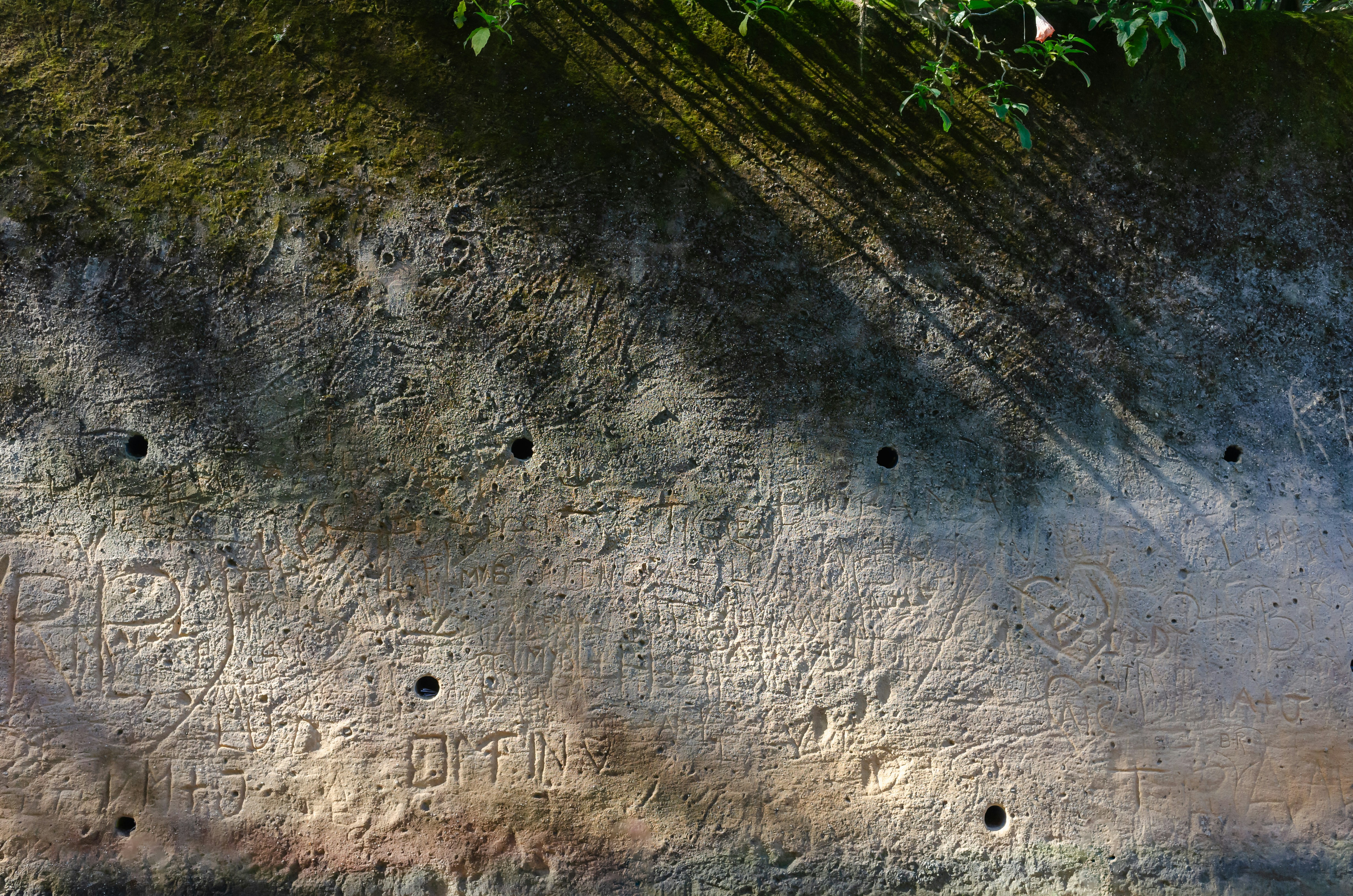 Photo by greg_rosenke