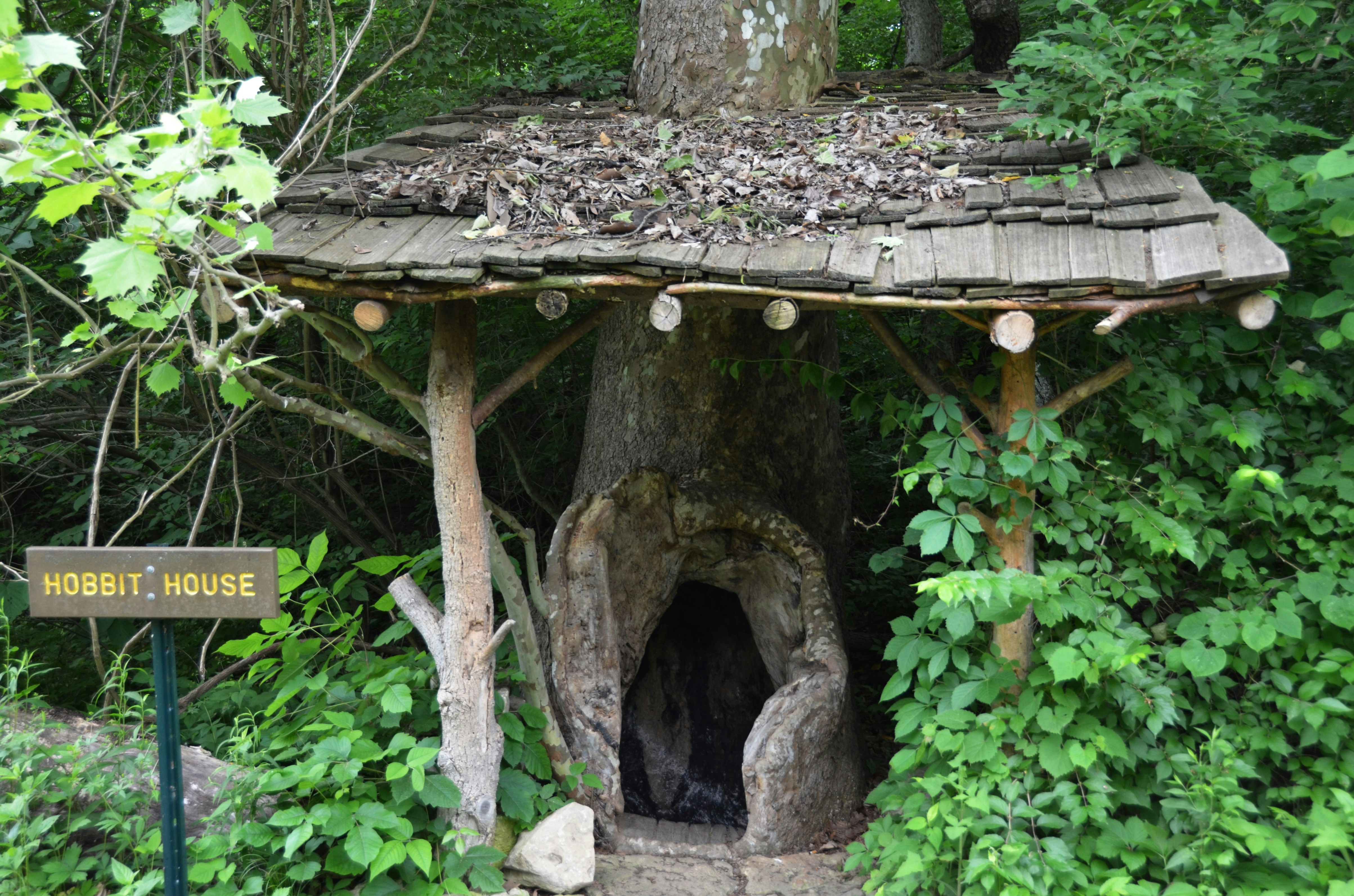 a tree house in the middle of a forest