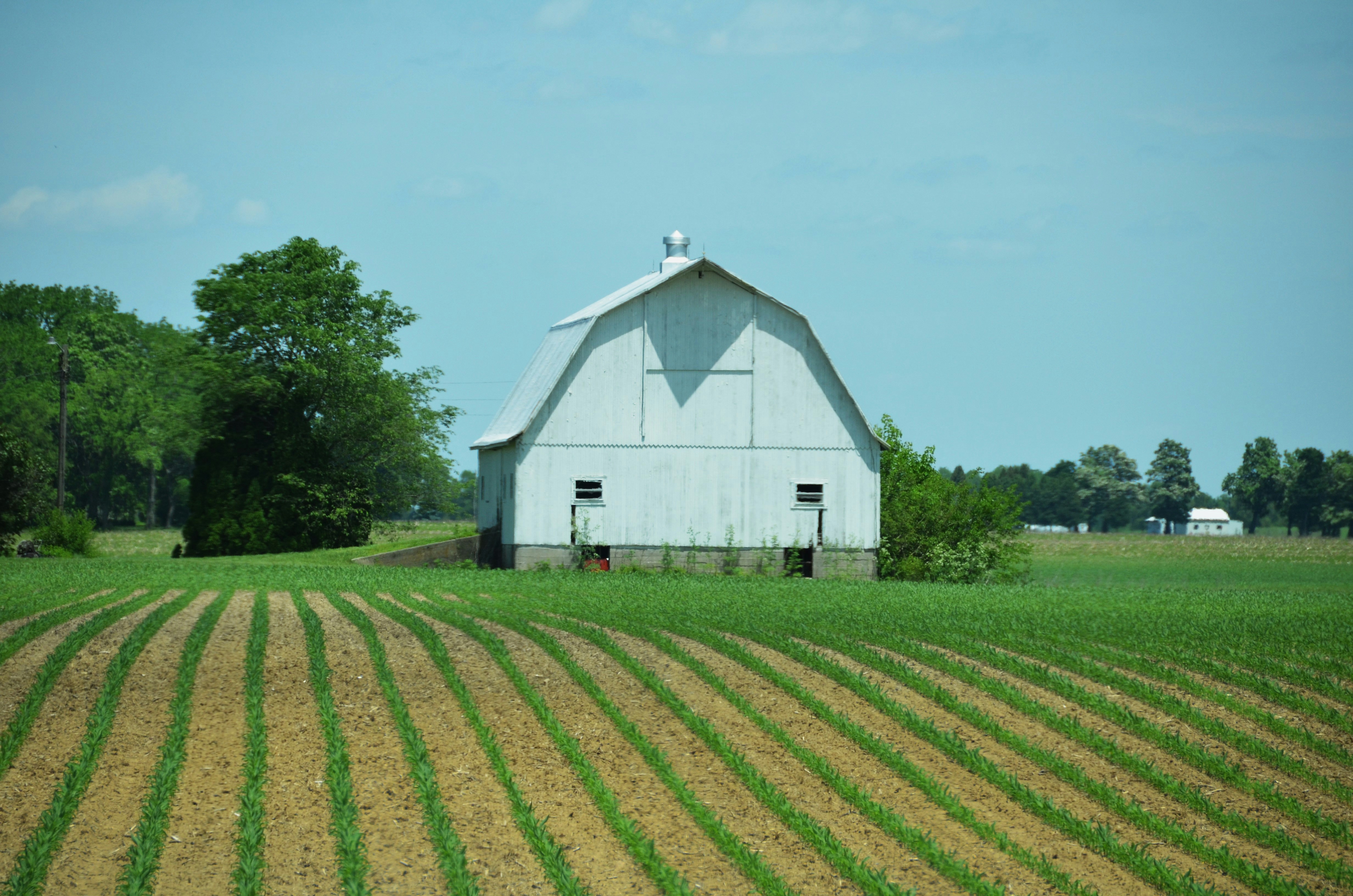 Un gran granero blanco sentado en medio de un campo foto – Imagen de Campo  de maíz gratuita en Unsplash, image size:3000x1987