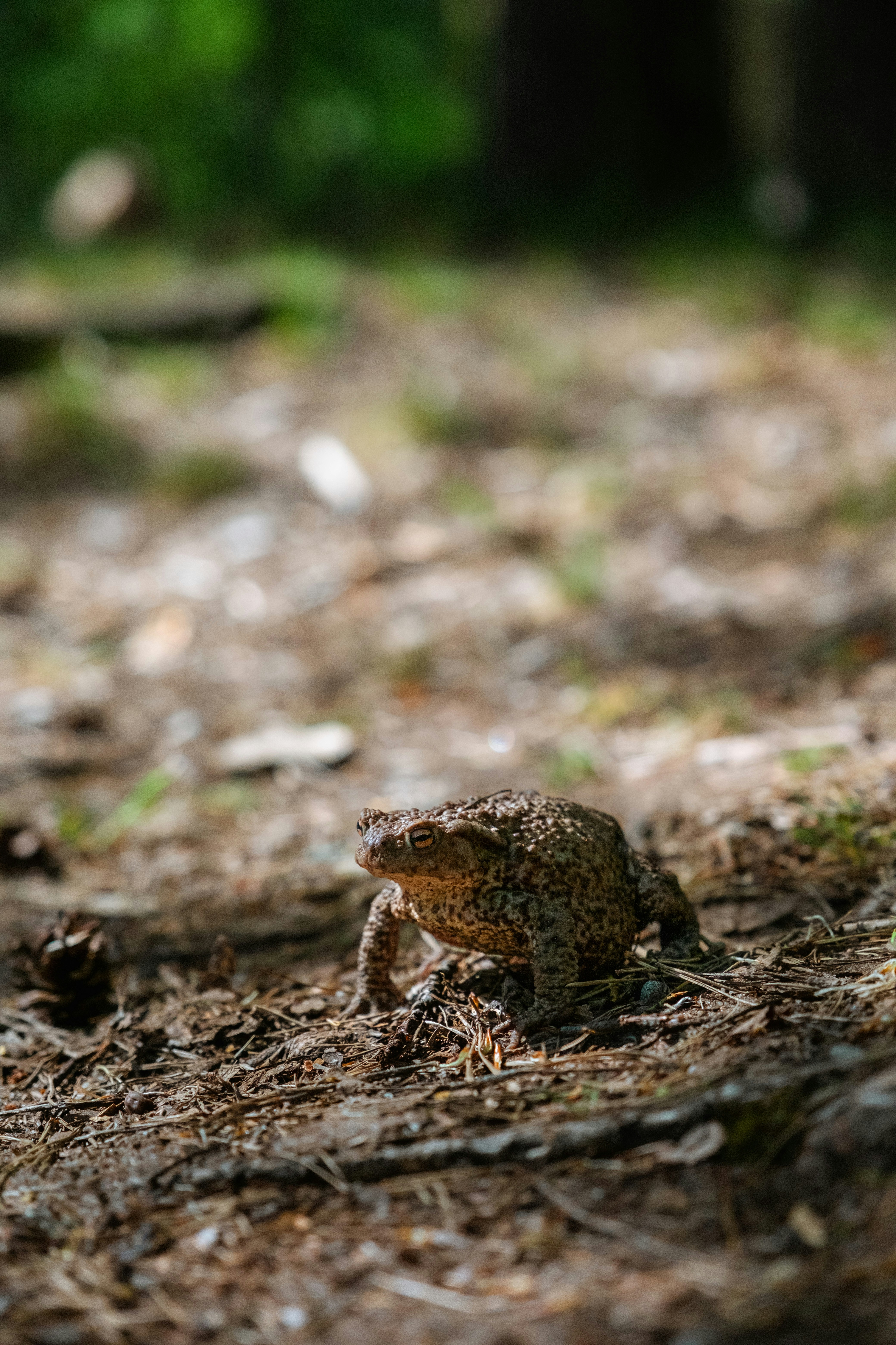 Photo by genet_schneider