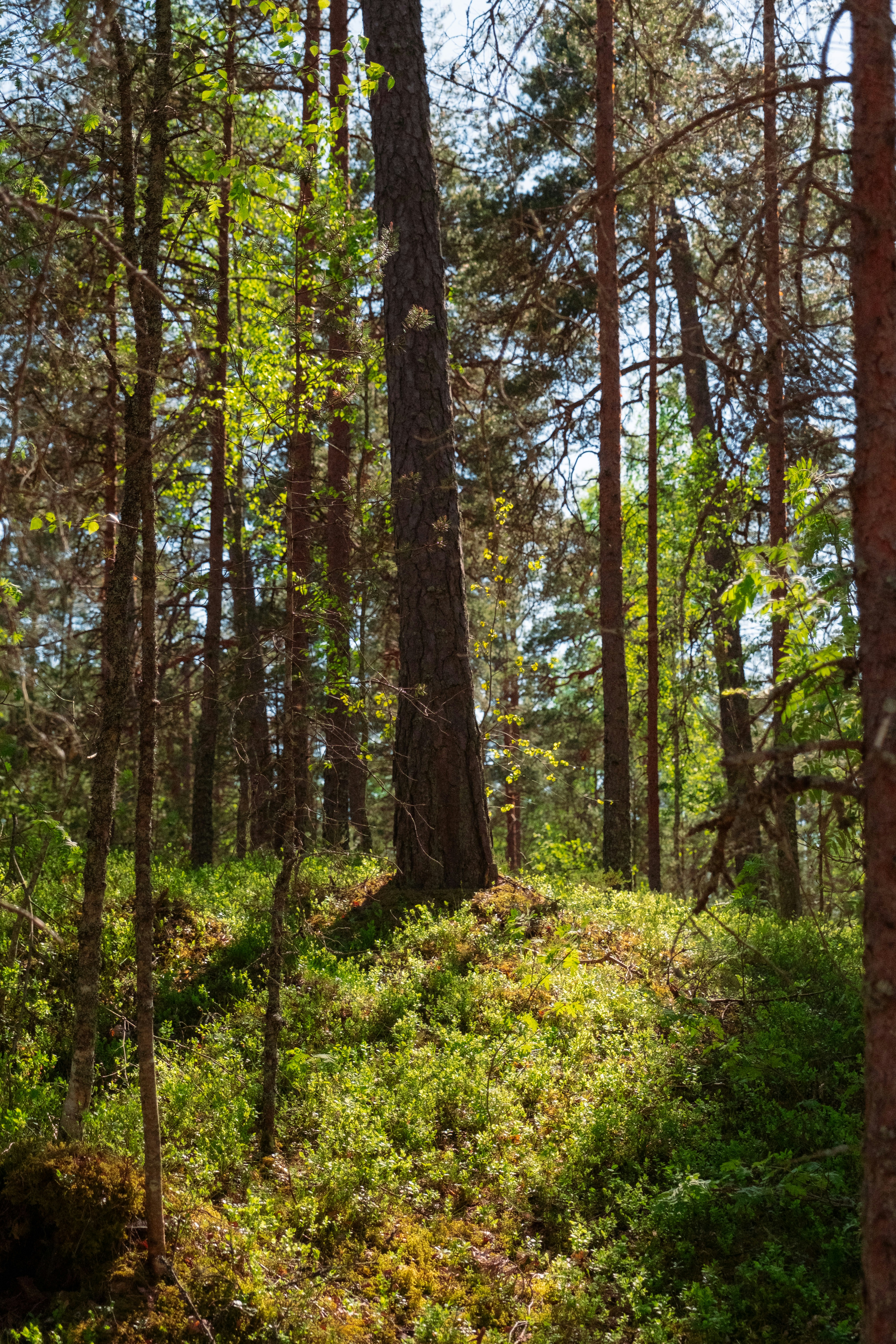 Photo by genet_schneider