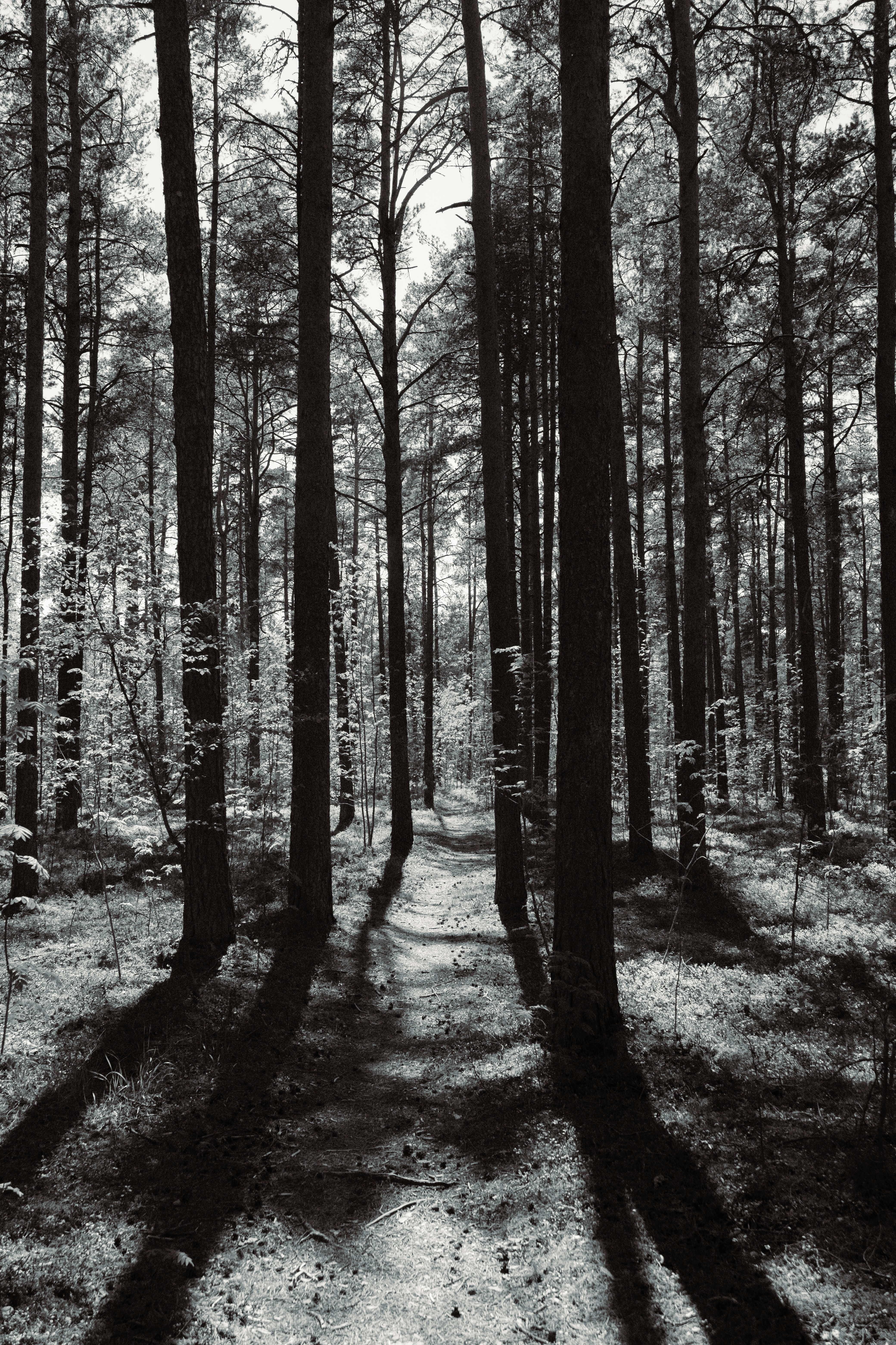 Photo by genet_schneider