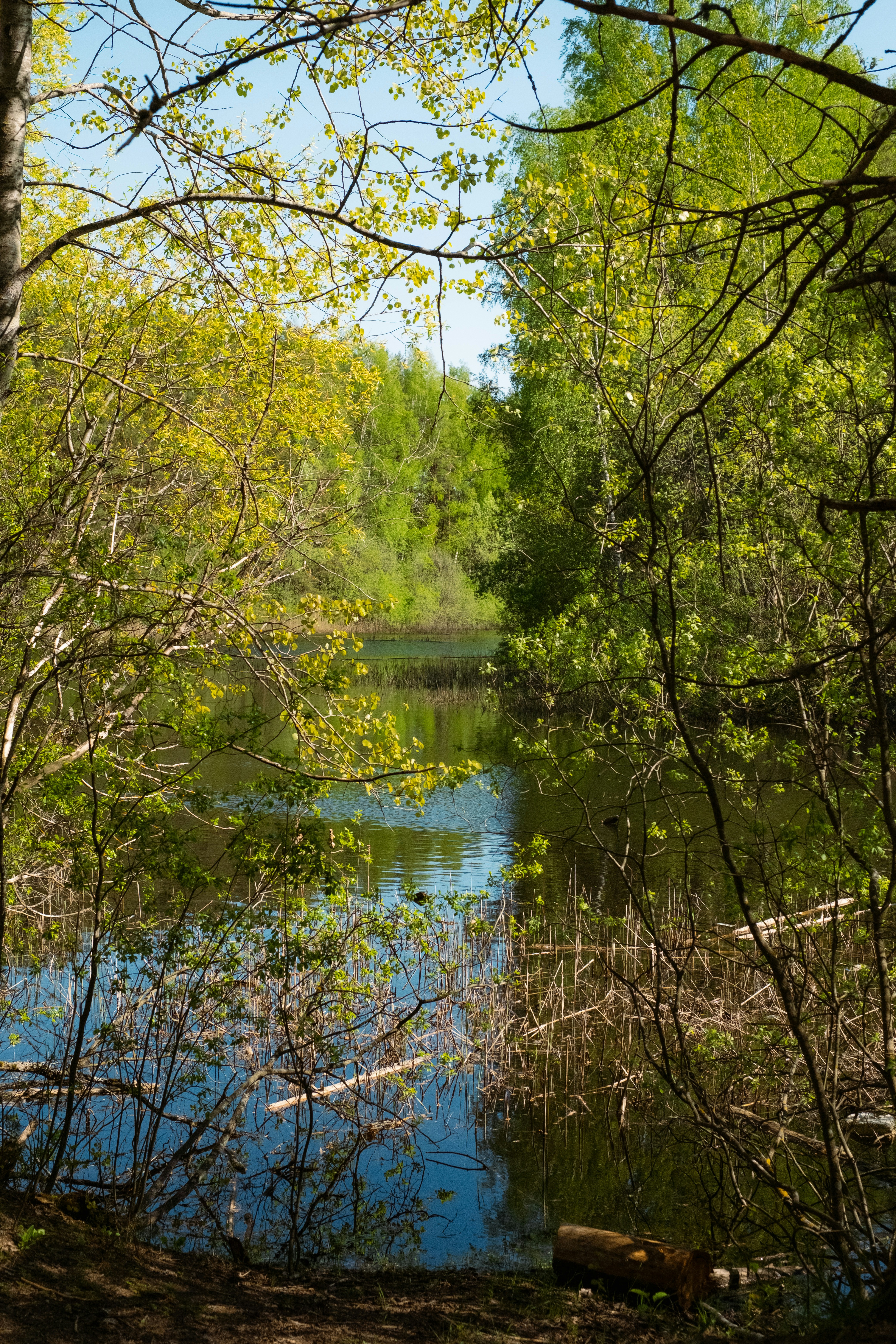 Photo by genet_schneider