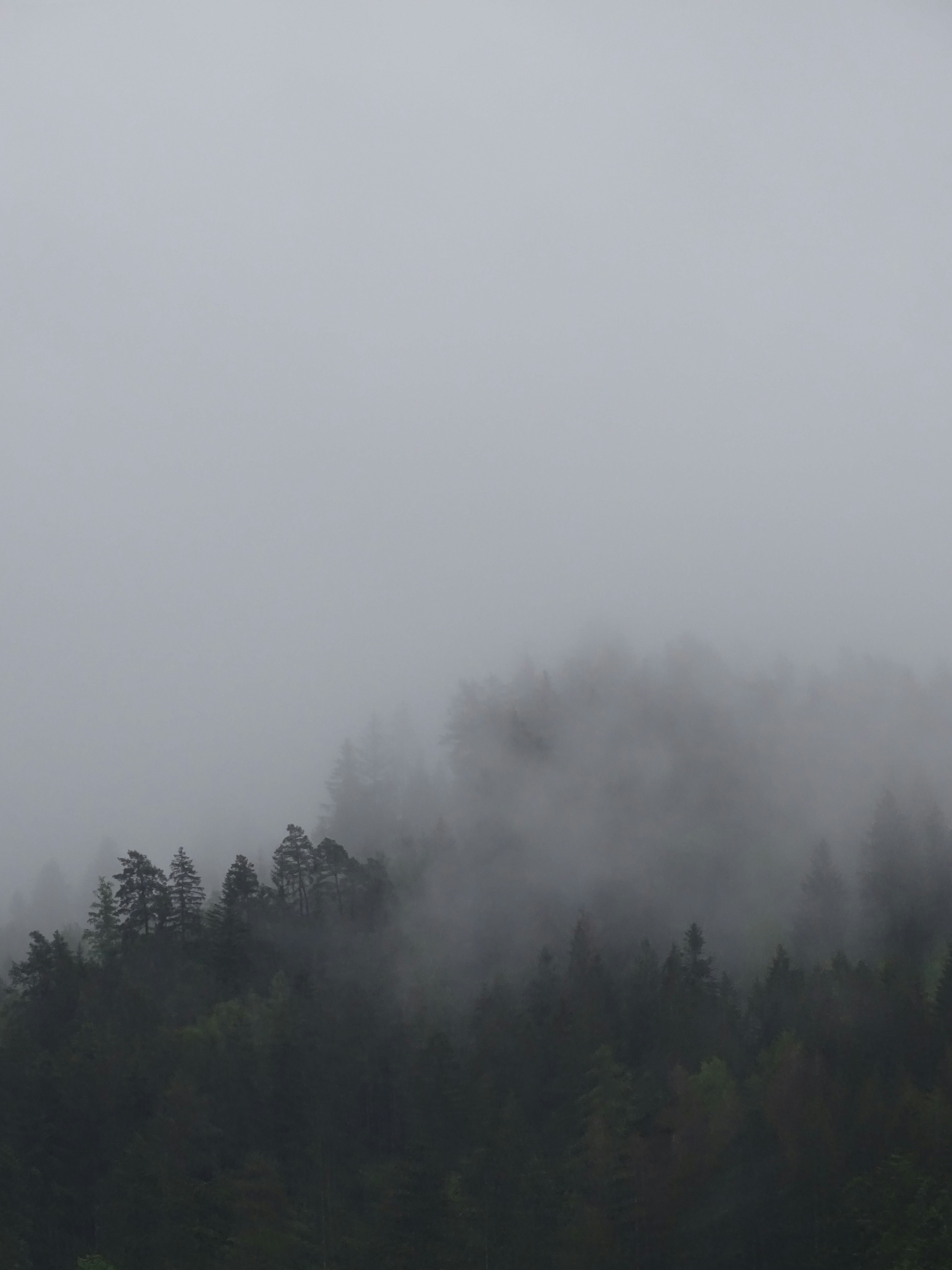 Photo by sander_steehouwer