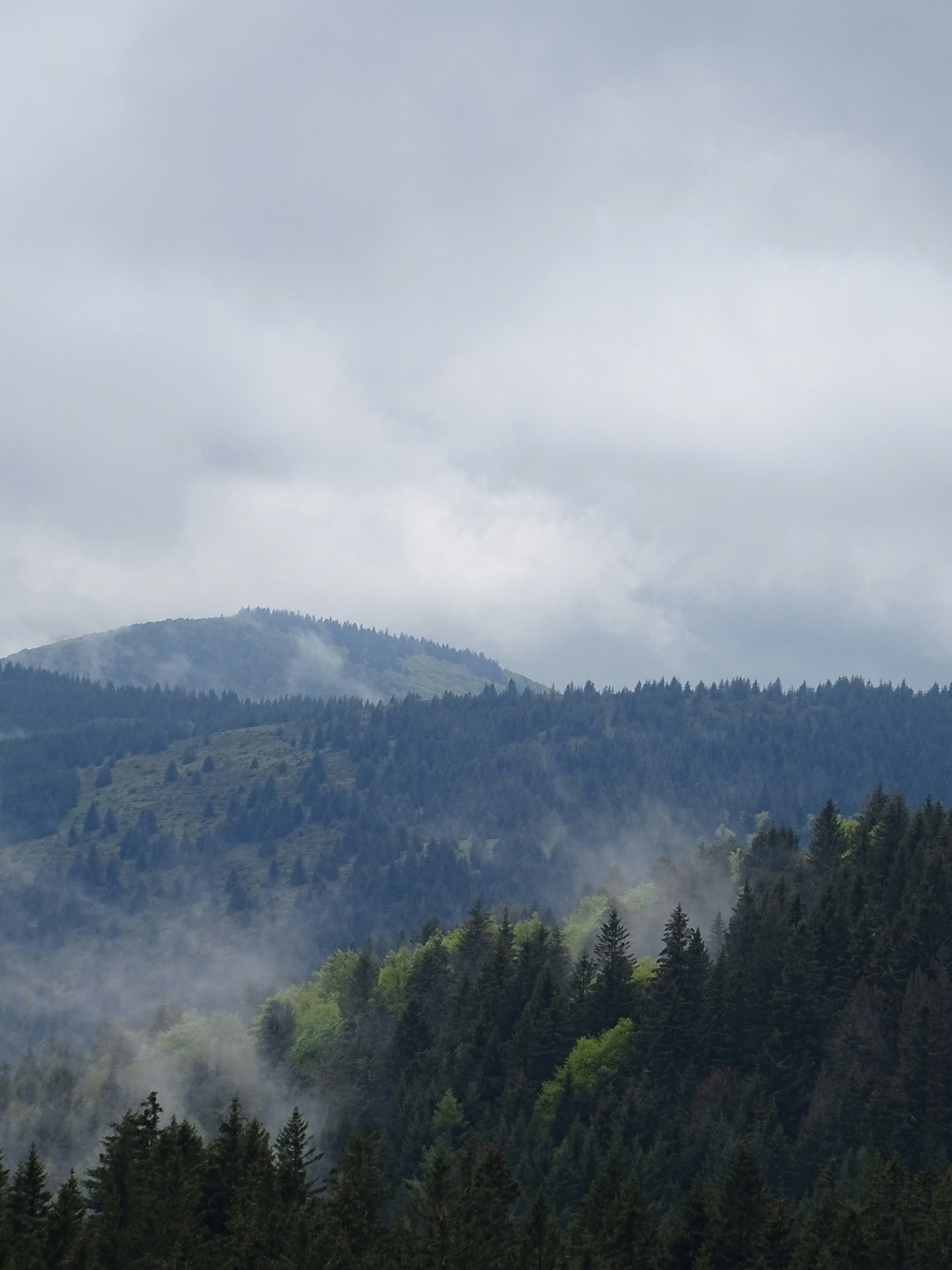 Photo by sander_steehouwer