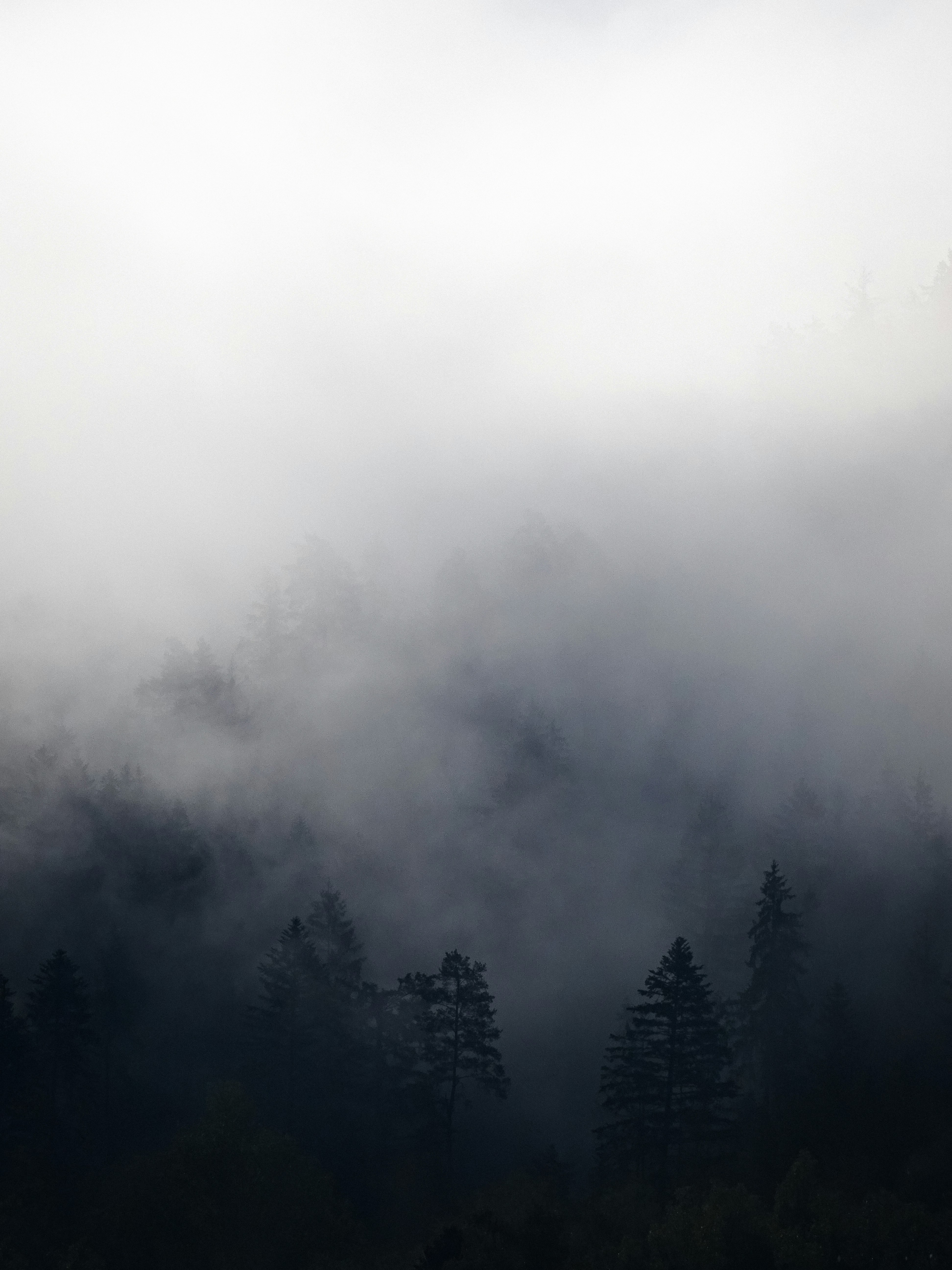 Photo by sander_steehouwer