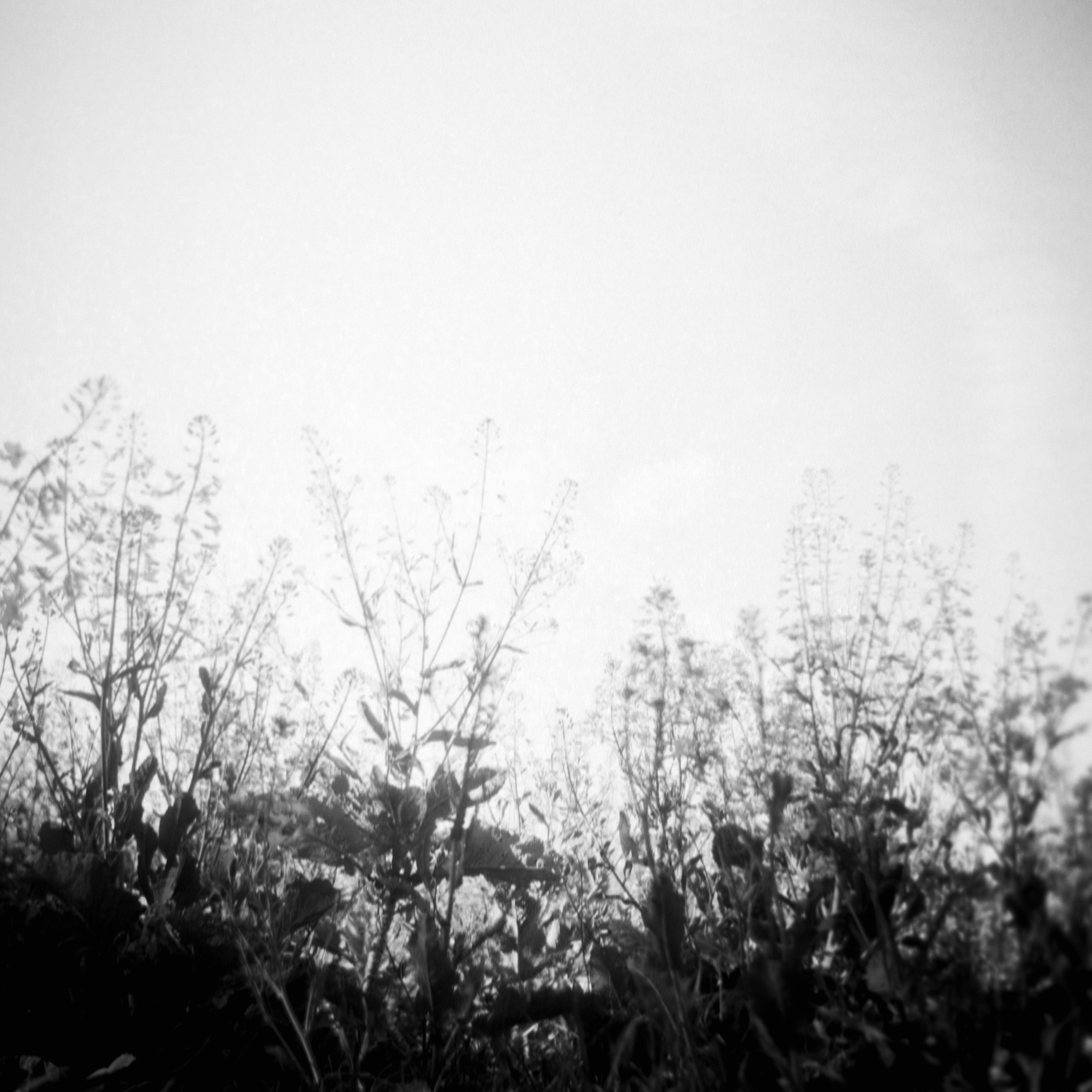 Photo by anniespratt