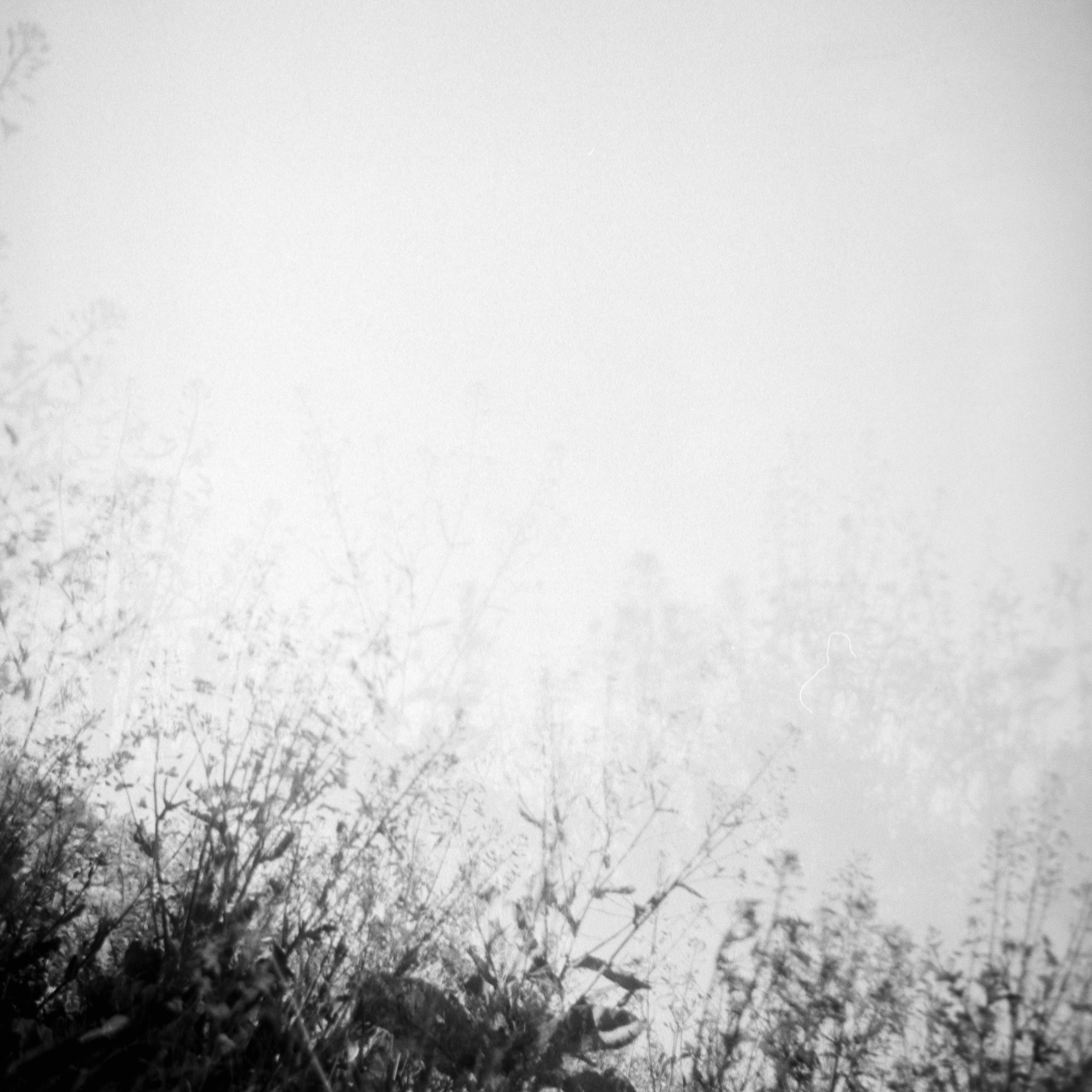 Photo by anniespratt