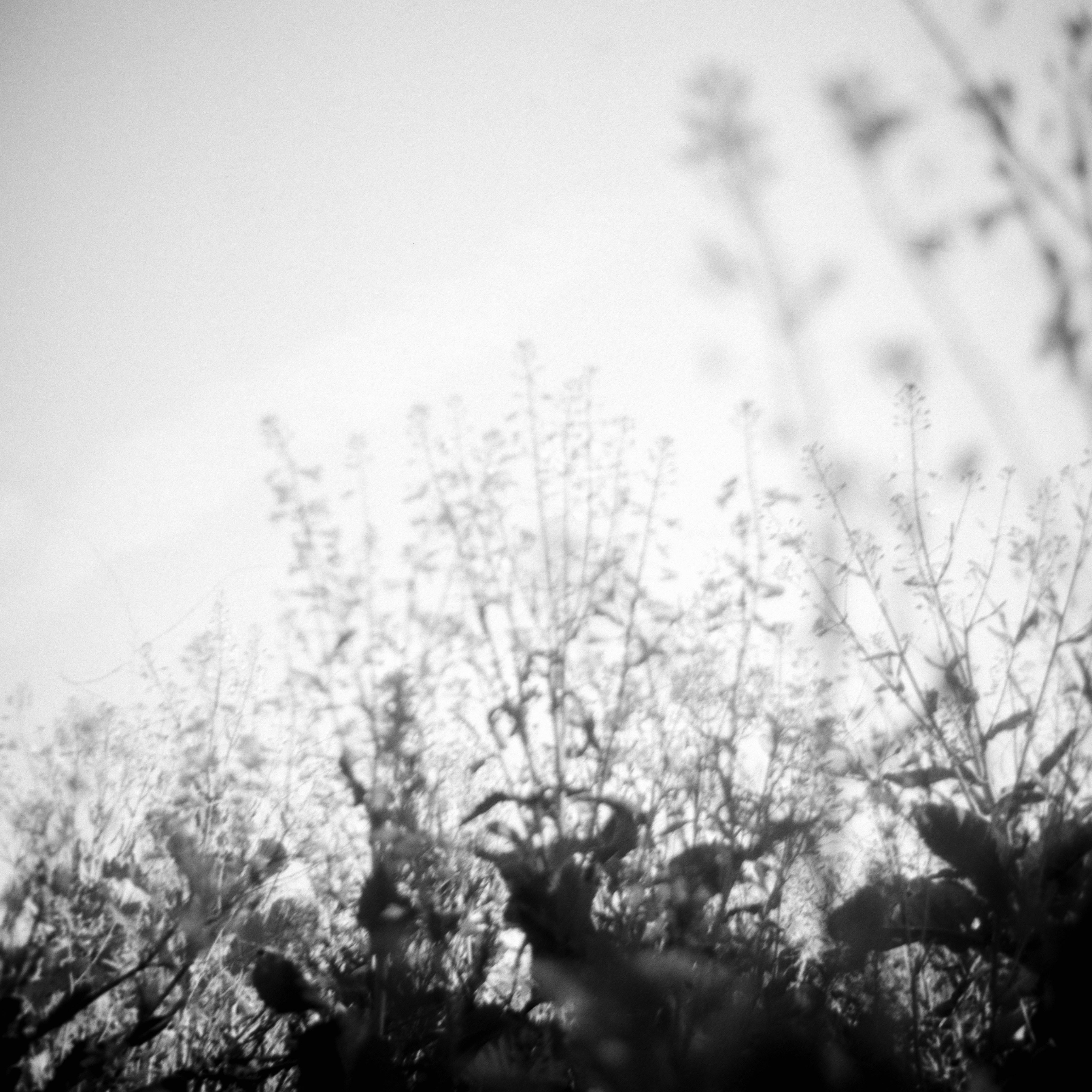 Photo by anniespratt