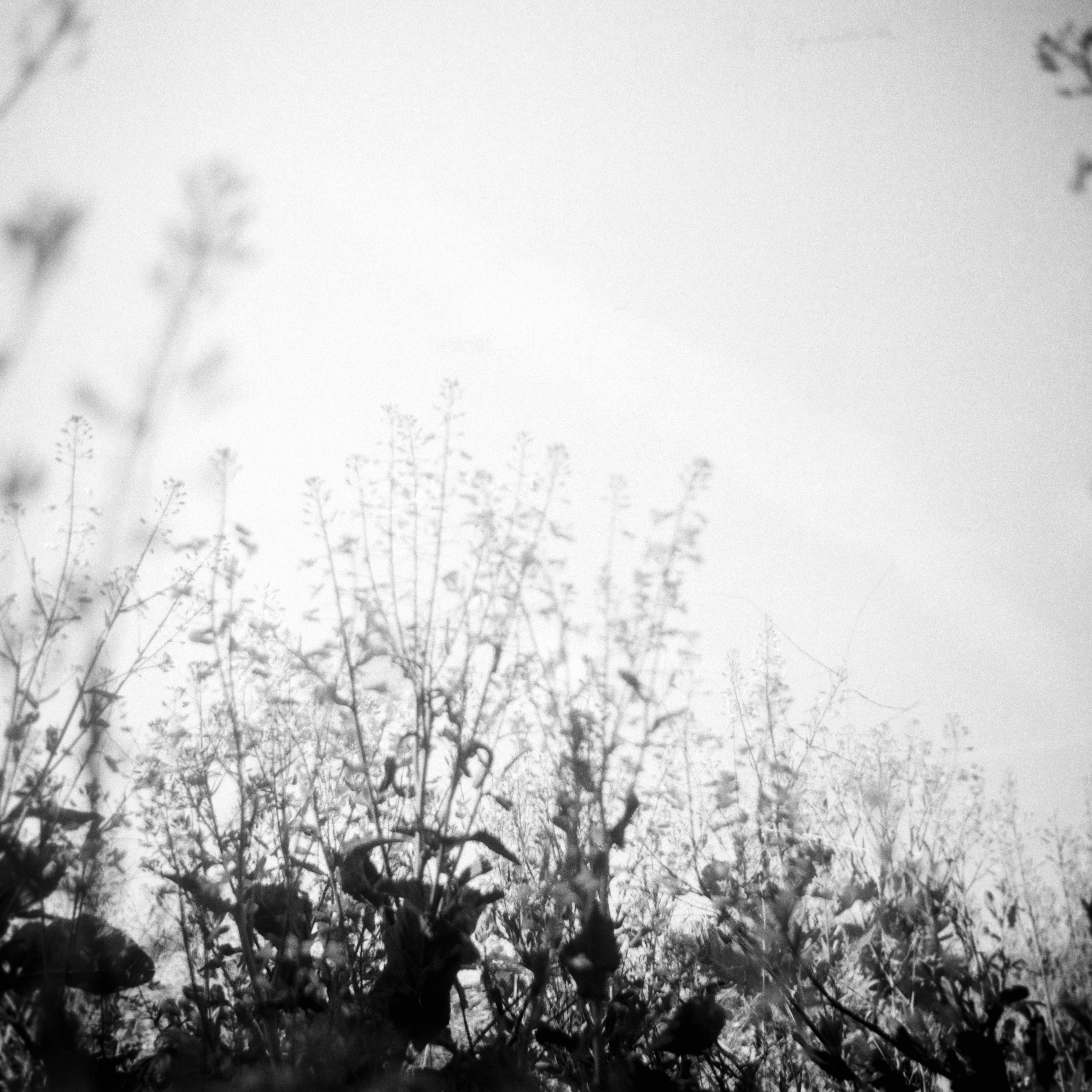 Photo by anniespratt