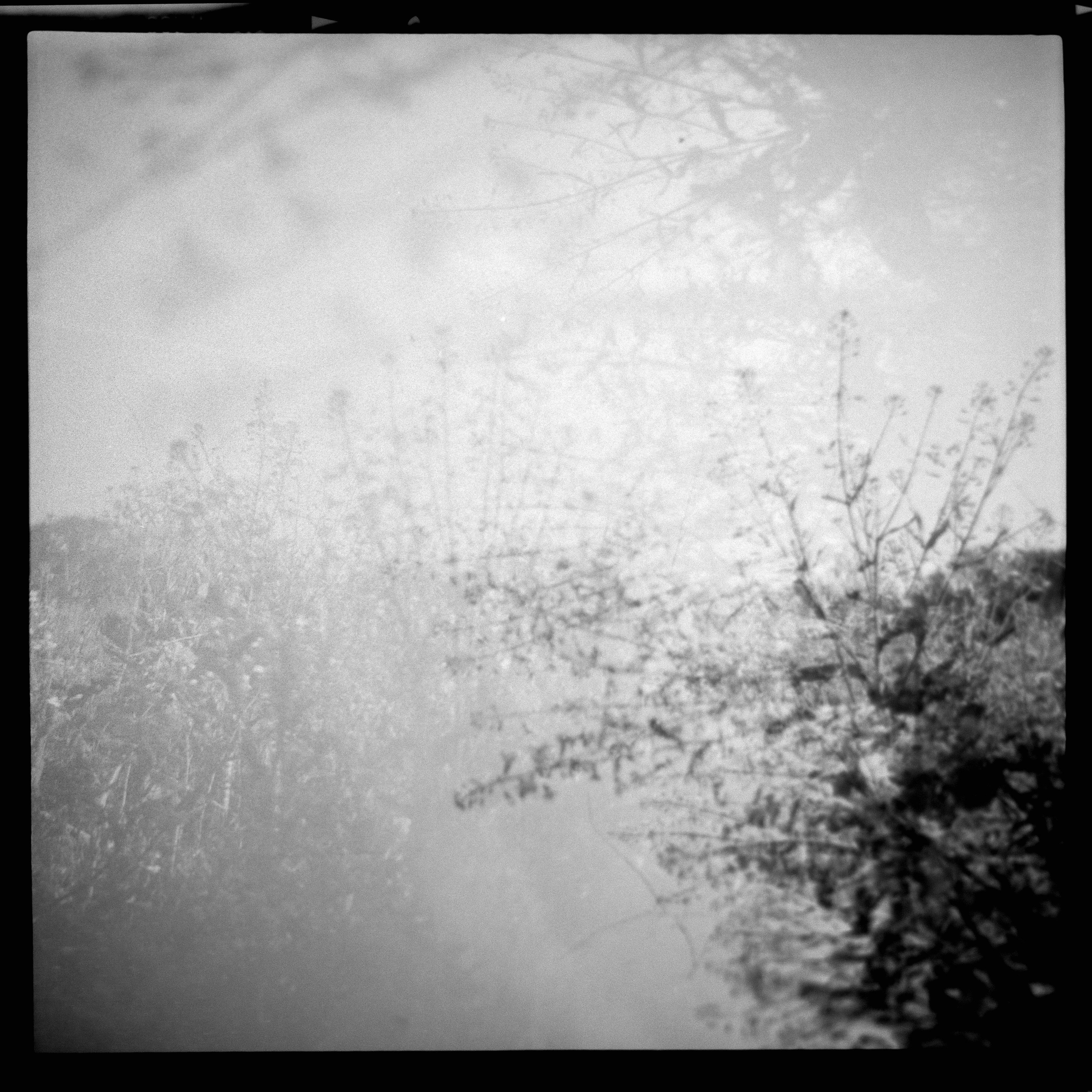 Photo by anniespratt