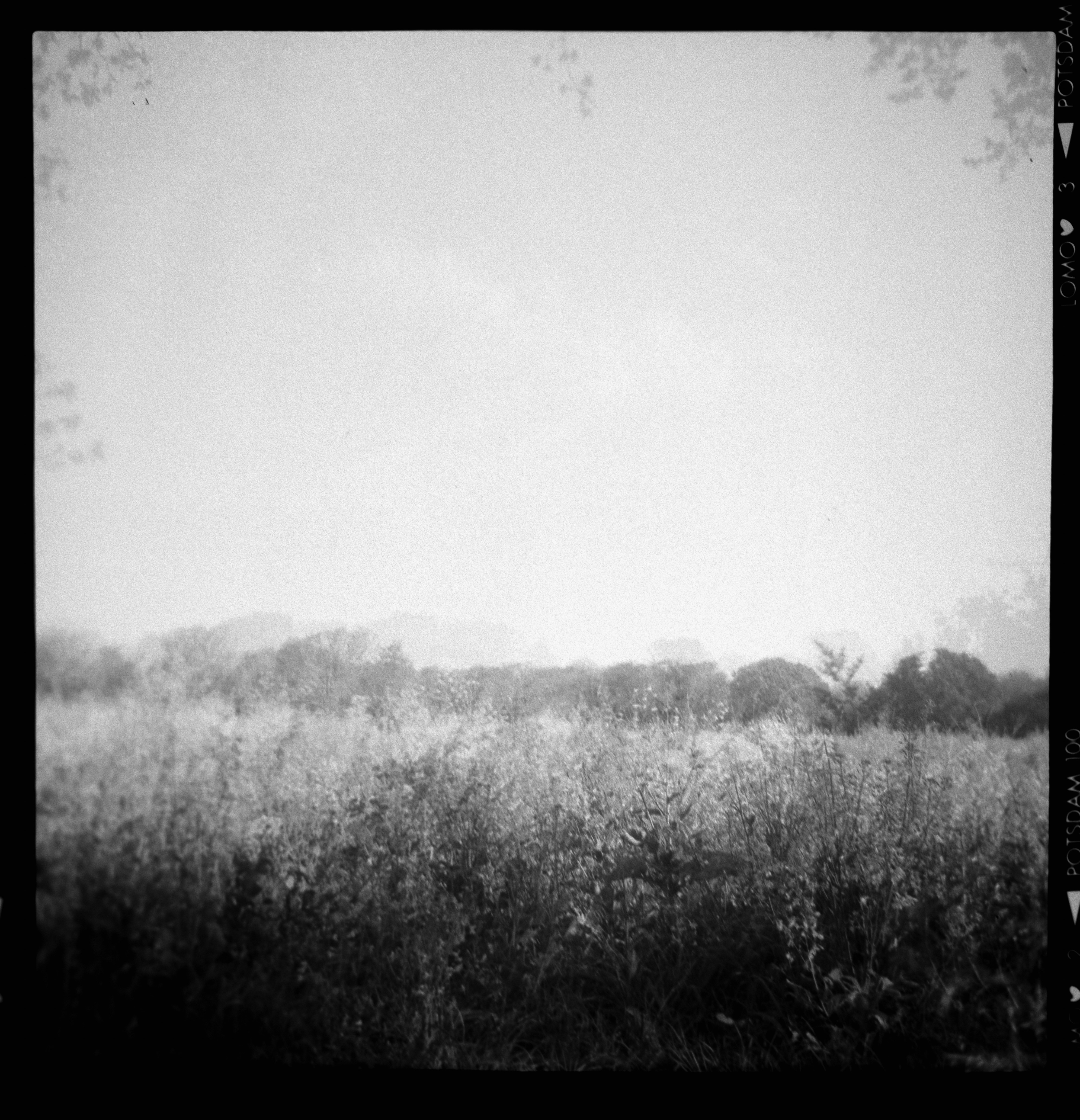 Photo by anniespratt