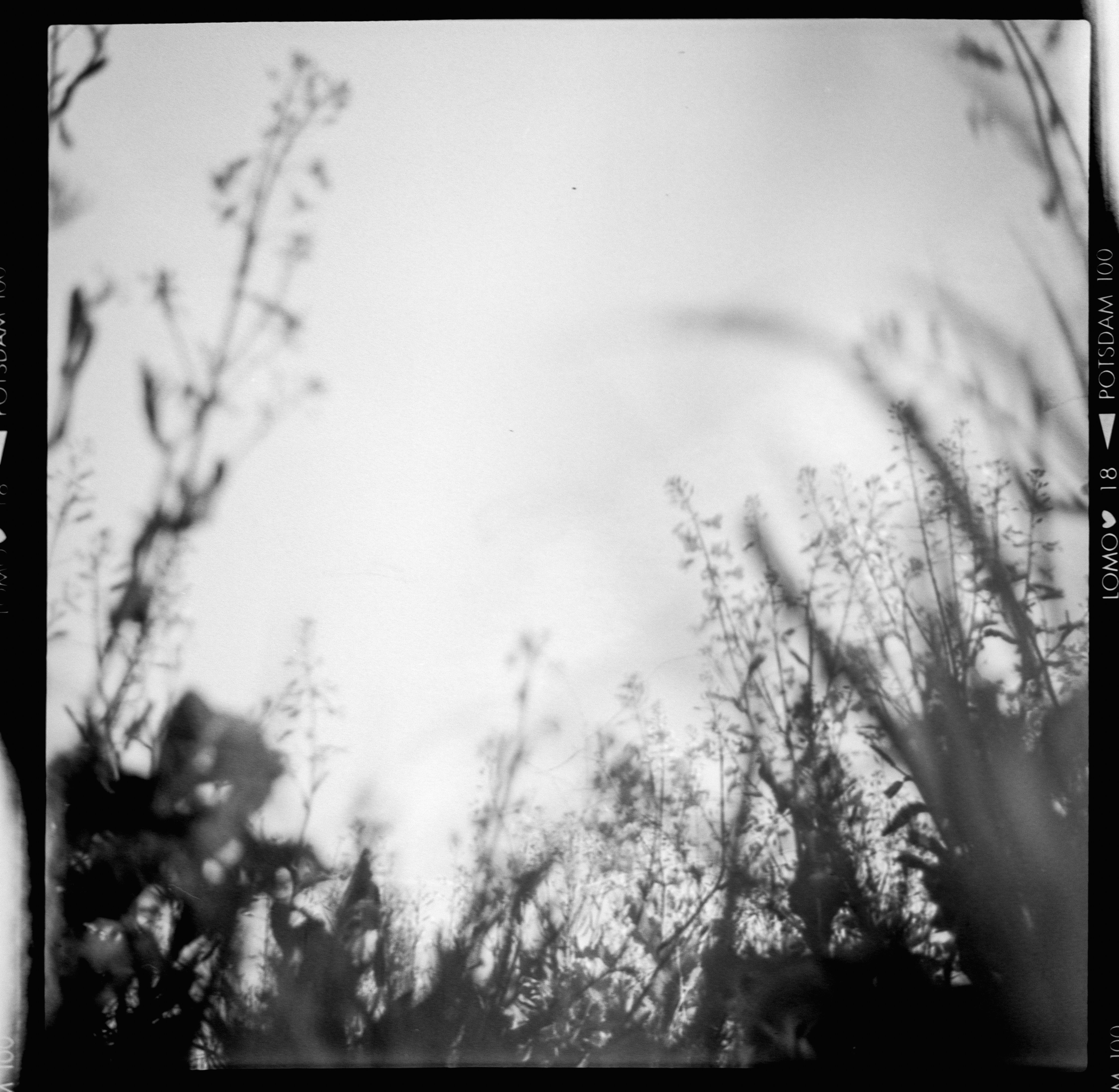 Photo by anniespratt