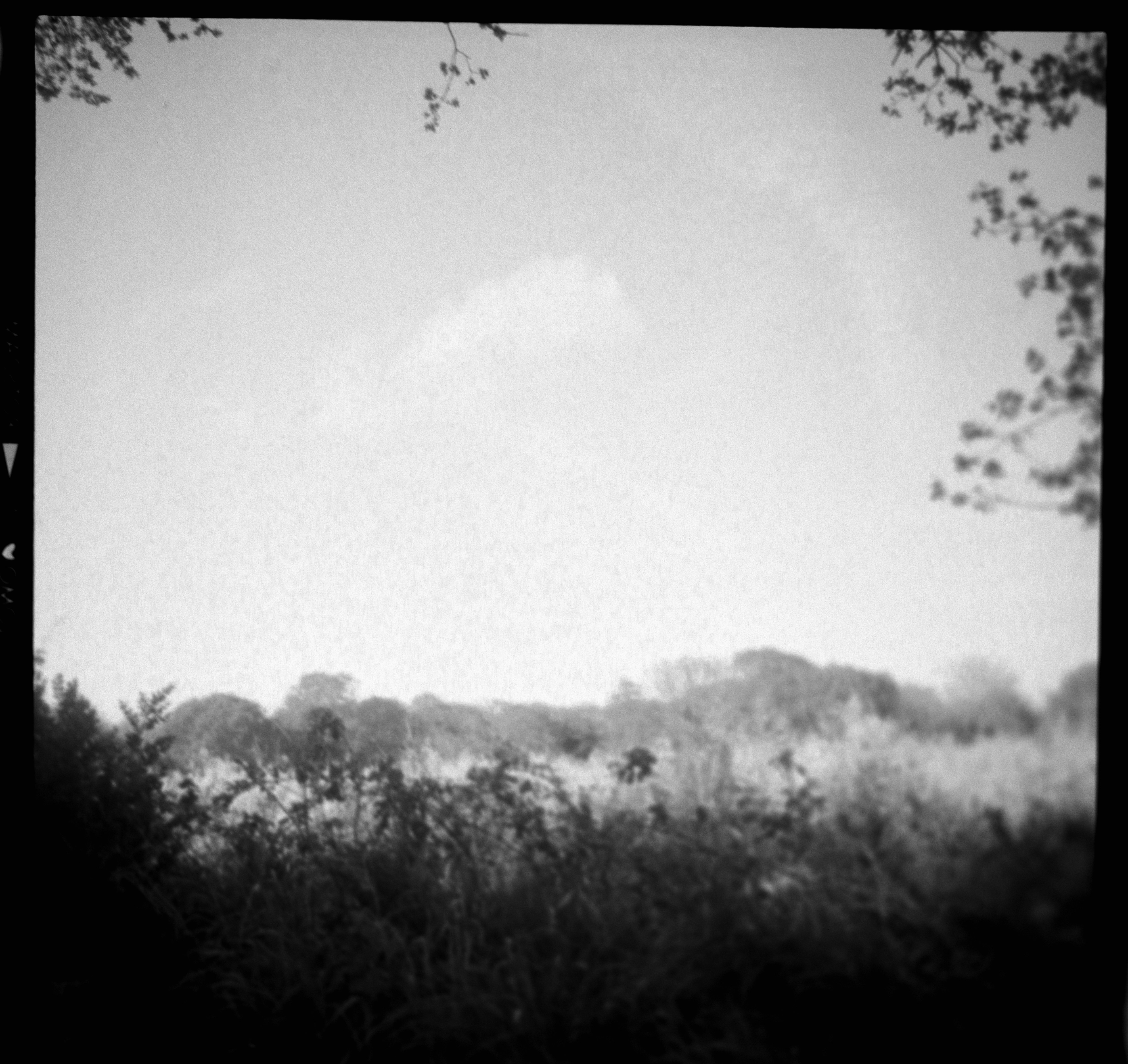 Photo by anniespratt