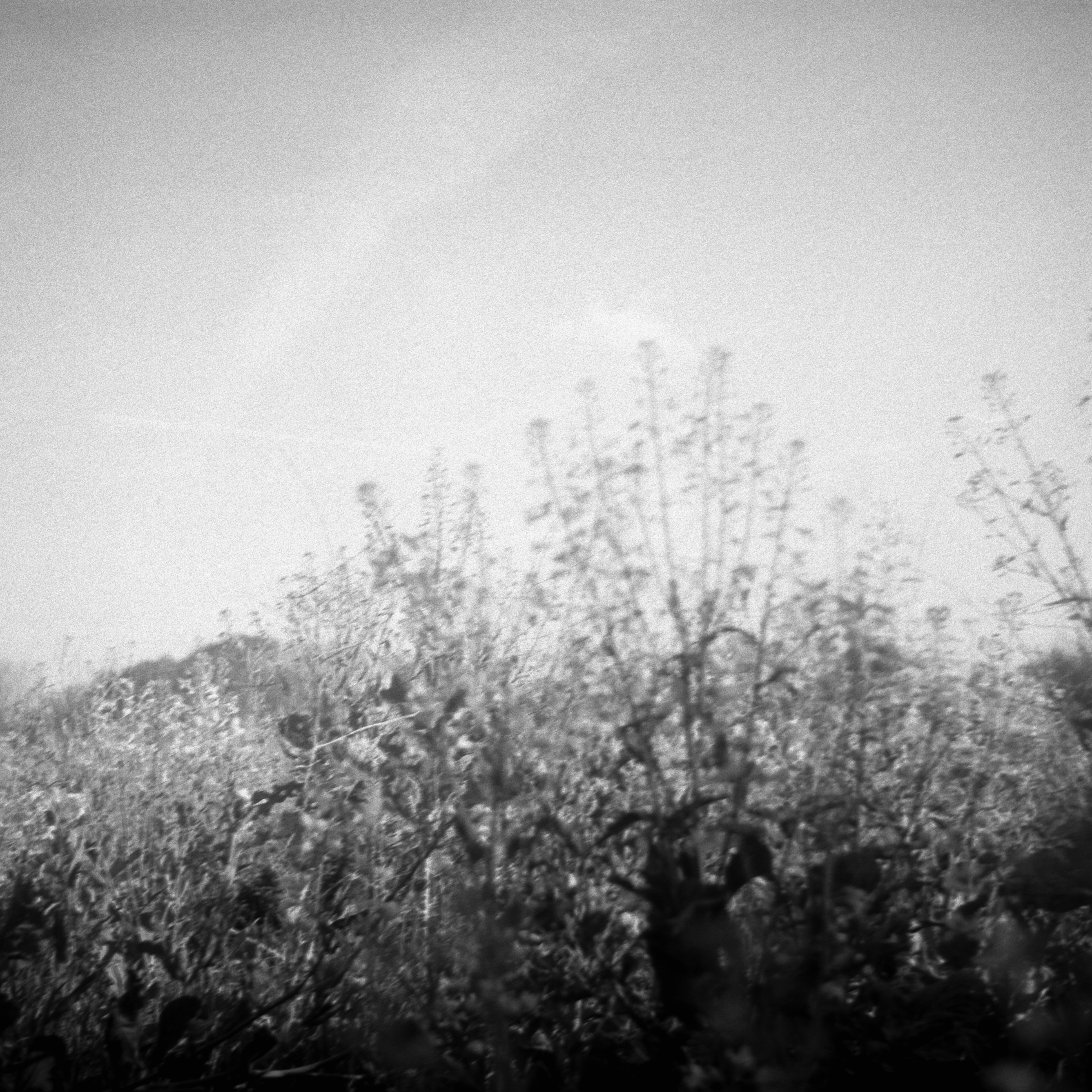 Photo by anniespratt