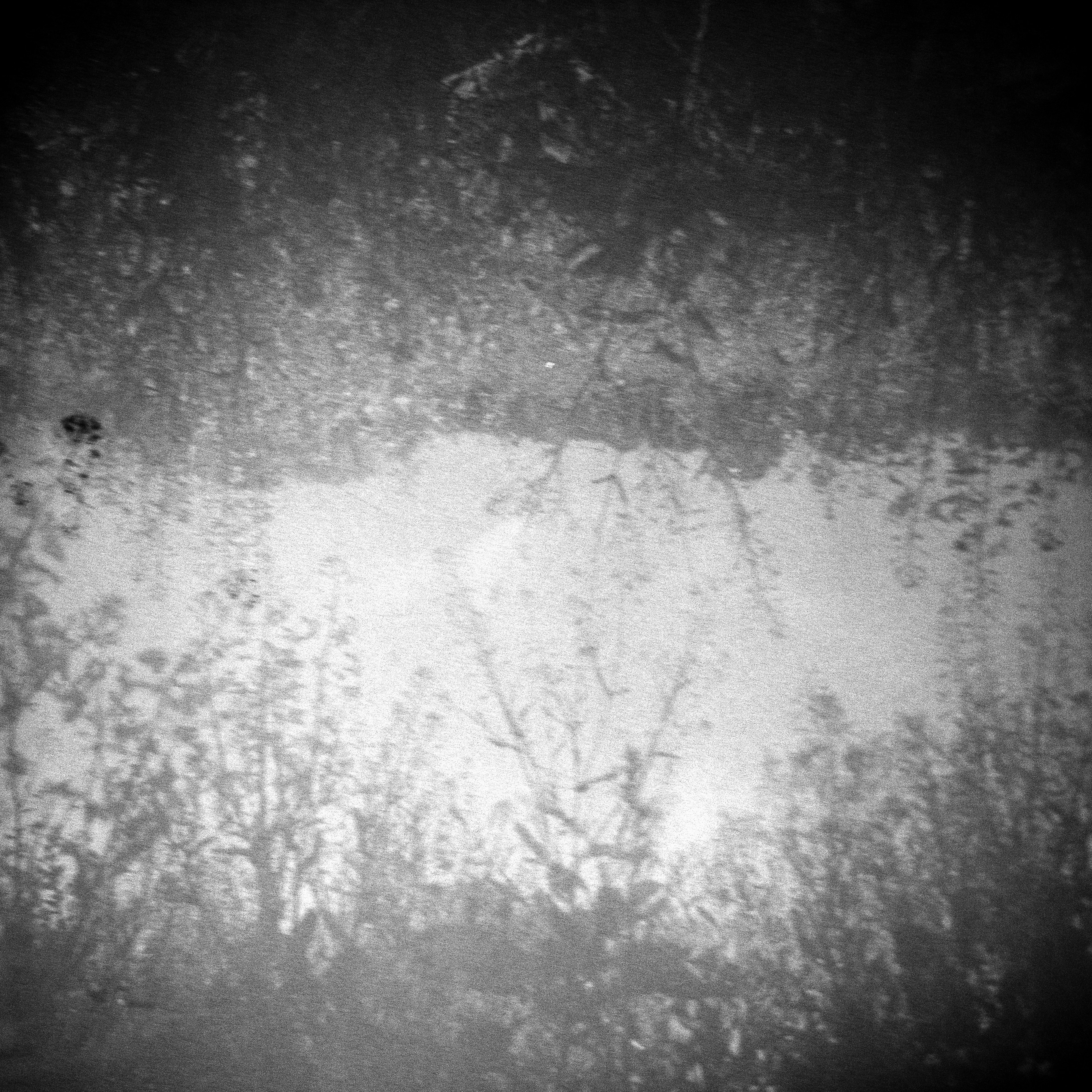 Photo by anniespratt