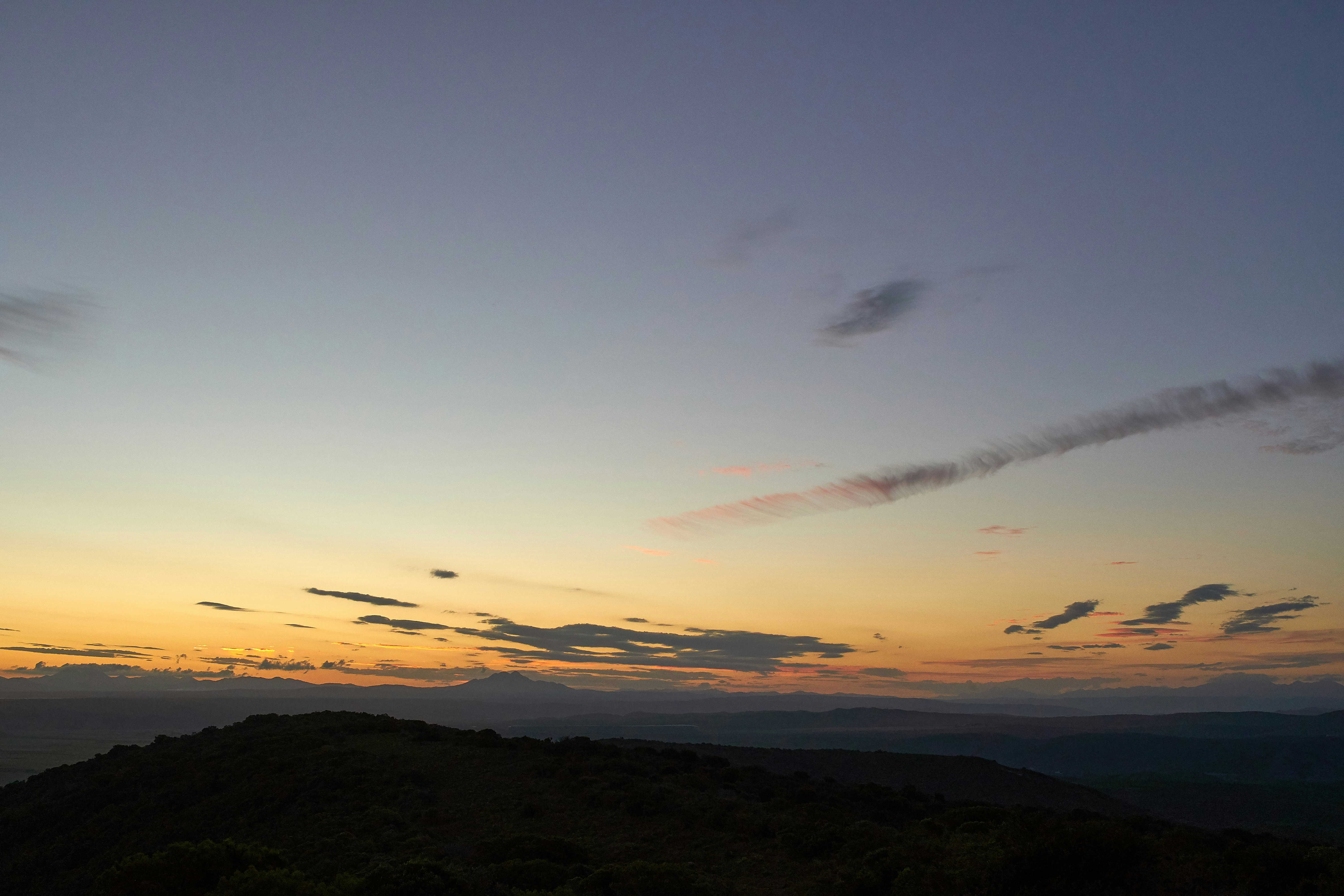 Photo by wolfgang_hasselmann