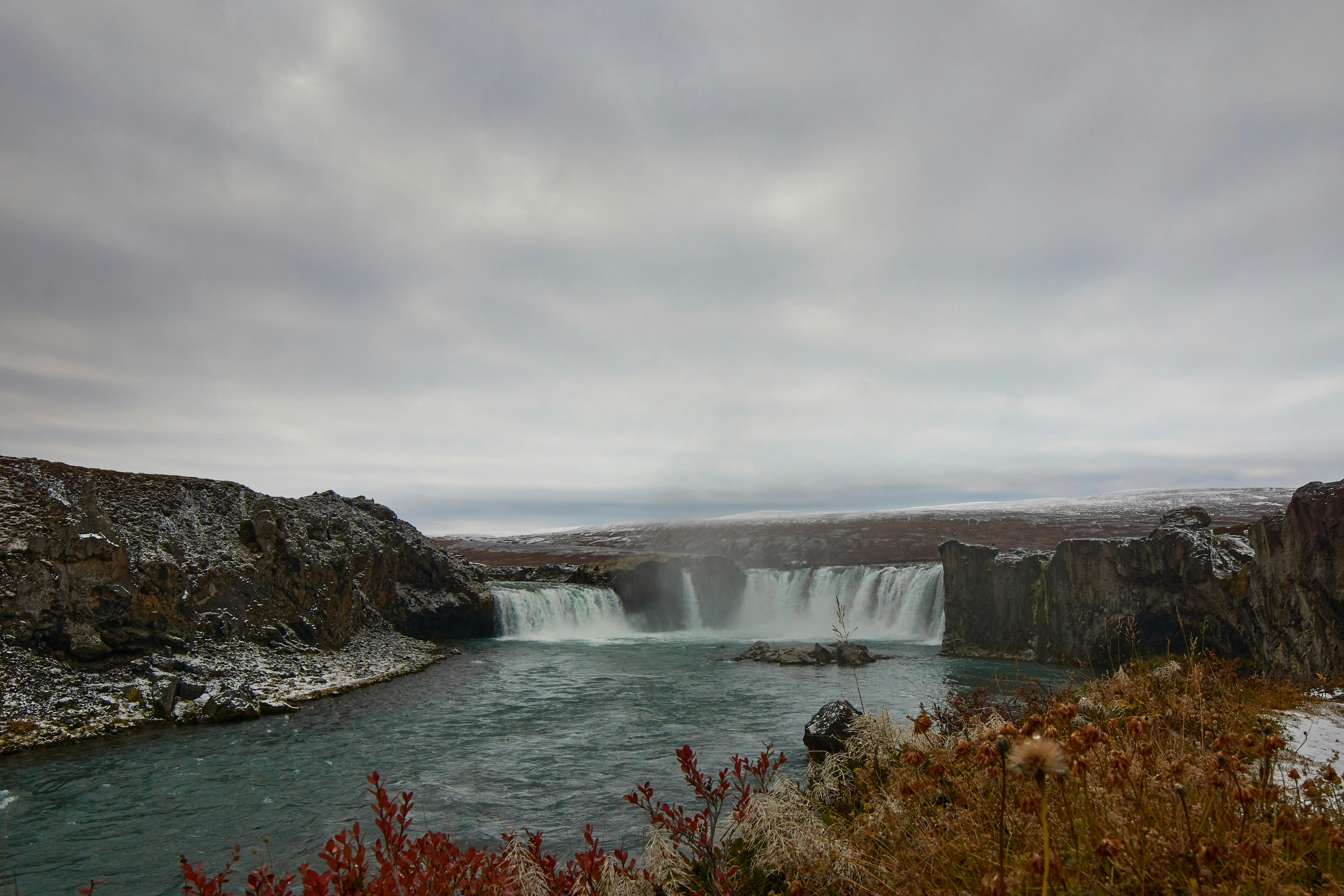 Photo by wolfgang_hasselmann