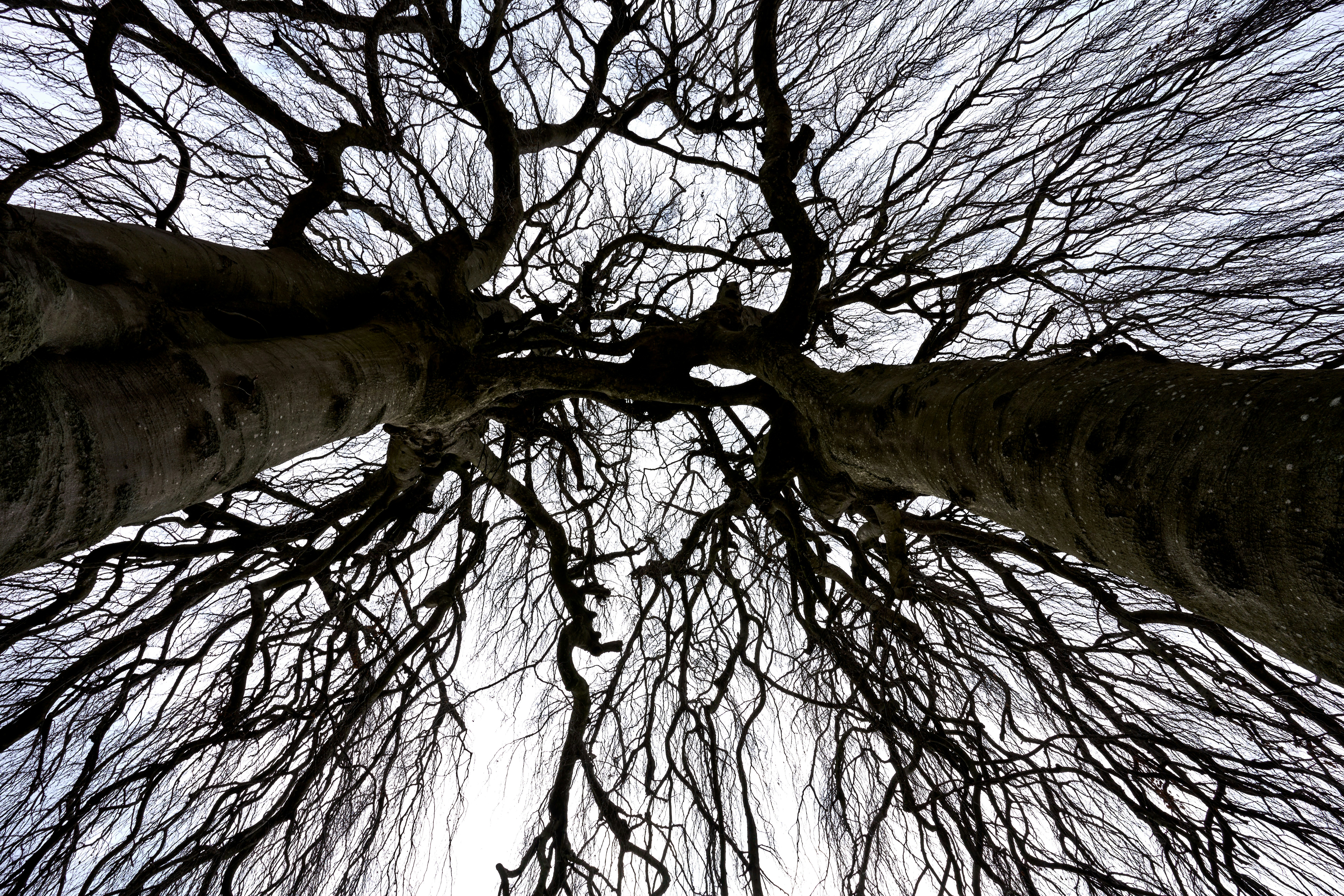 Git Worktree Deep Dive: Parallel Branches, One Repository, Zero Headache