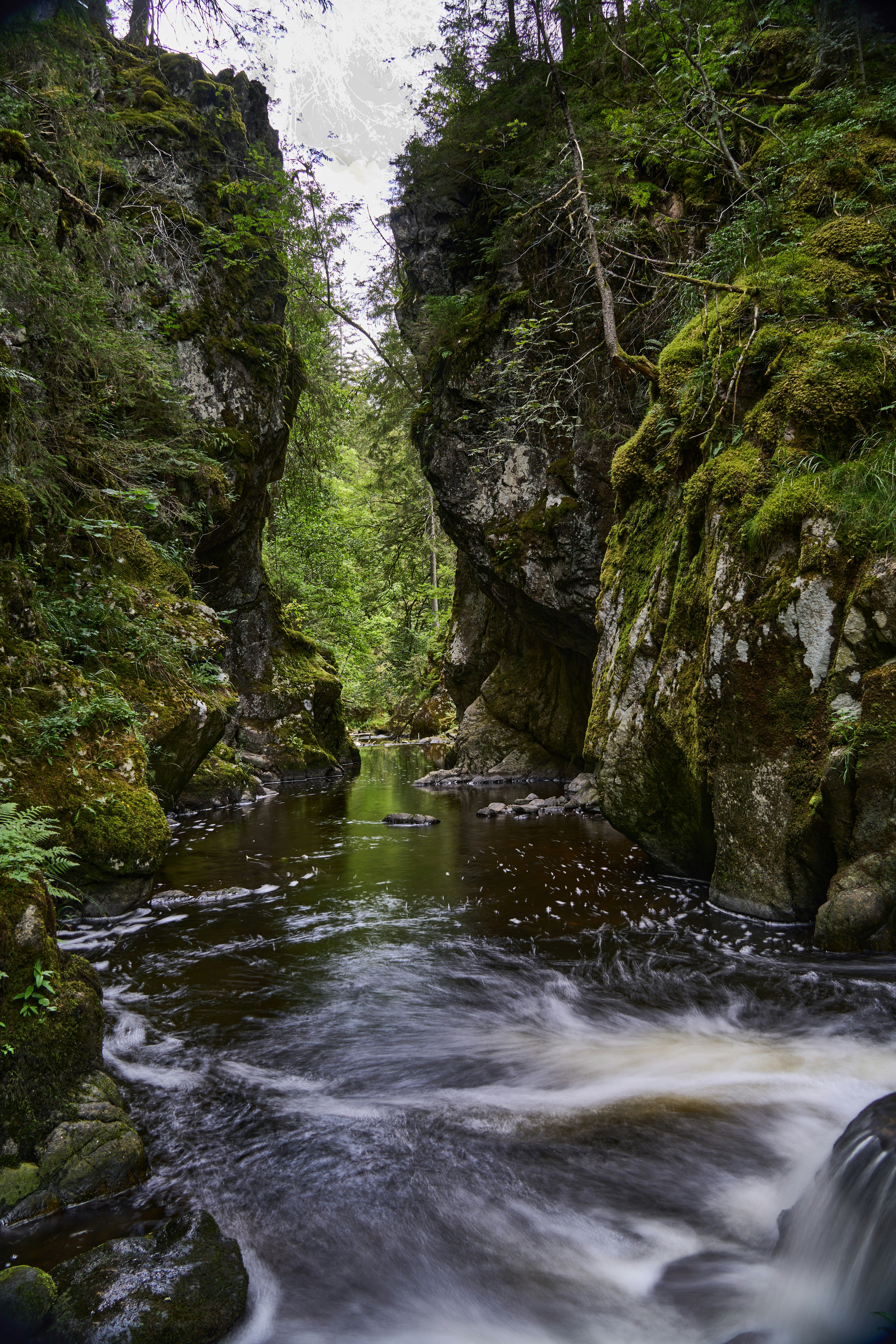 Photo by wolfgang_hasselmann