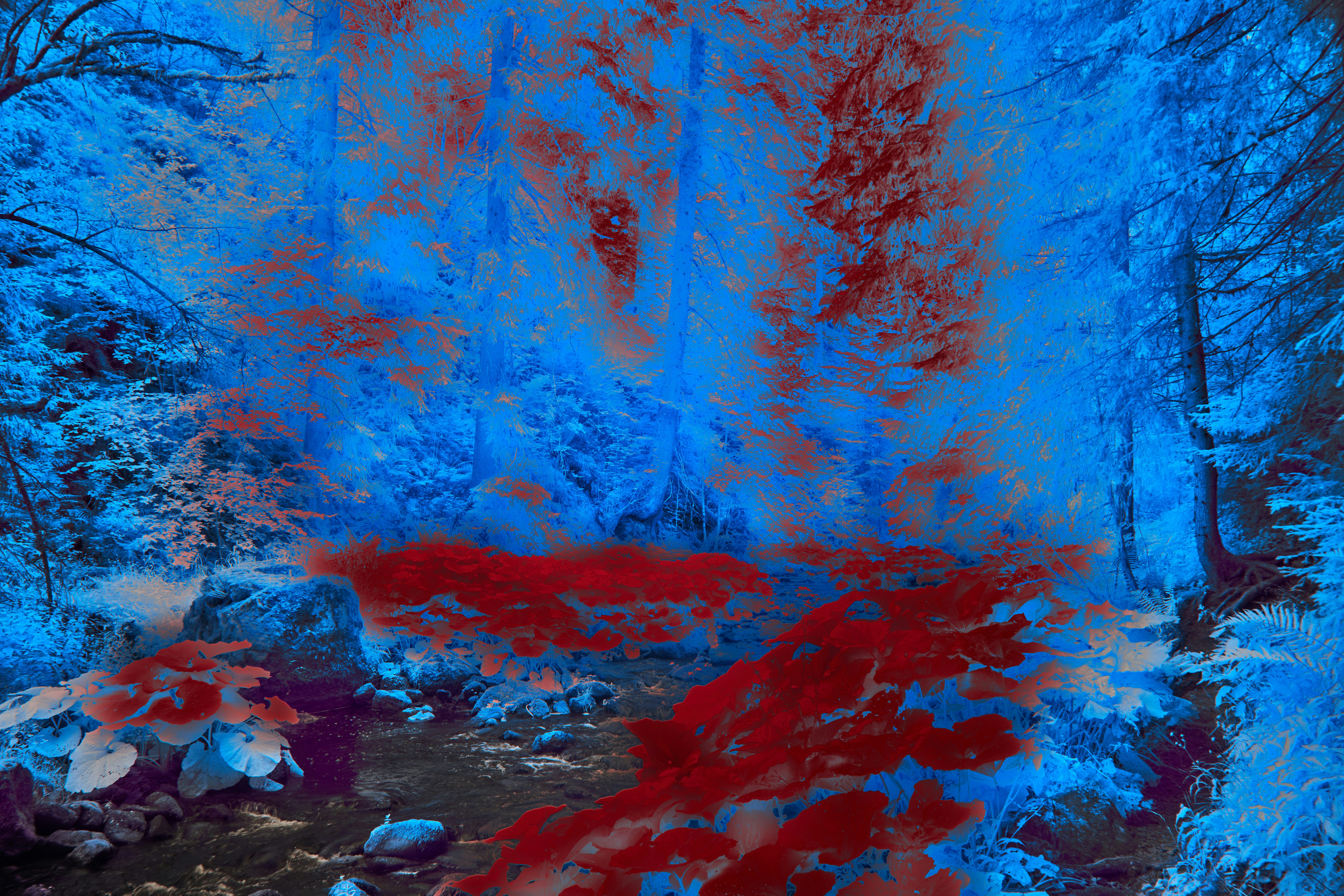 Photo by wolfgang_hasselmann