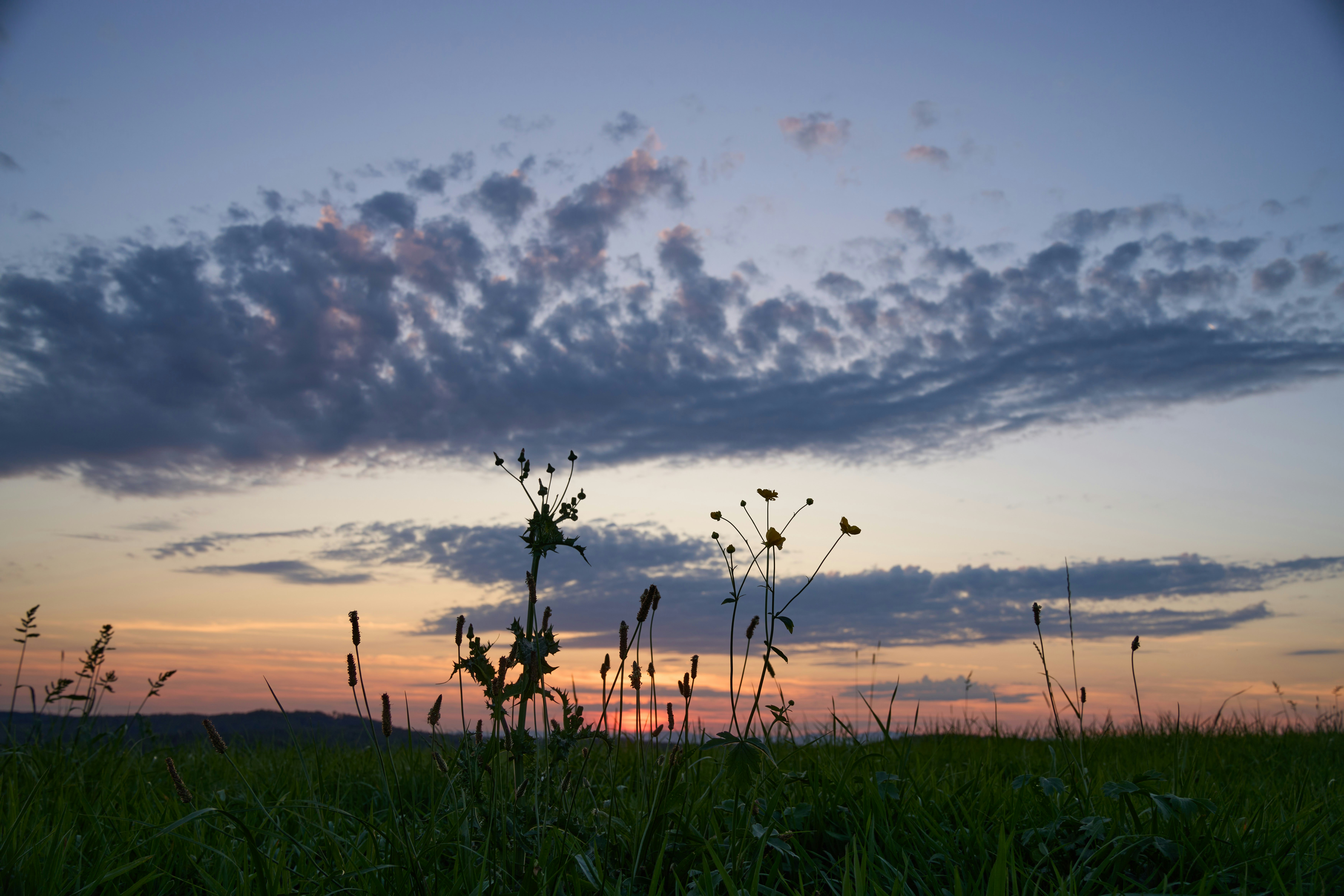 Photo by wolfgang_hasselmann