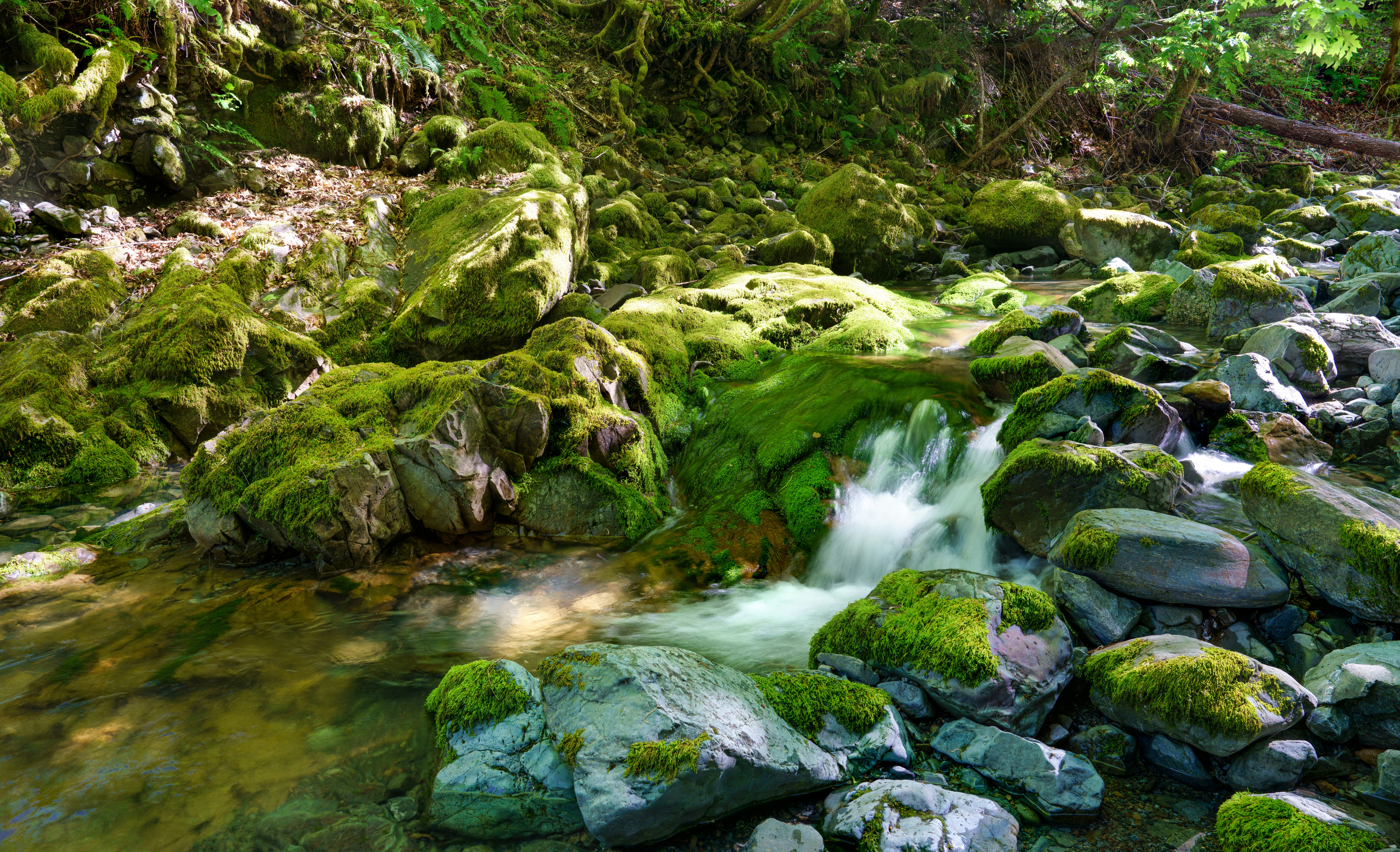 Photo by happy_pixel