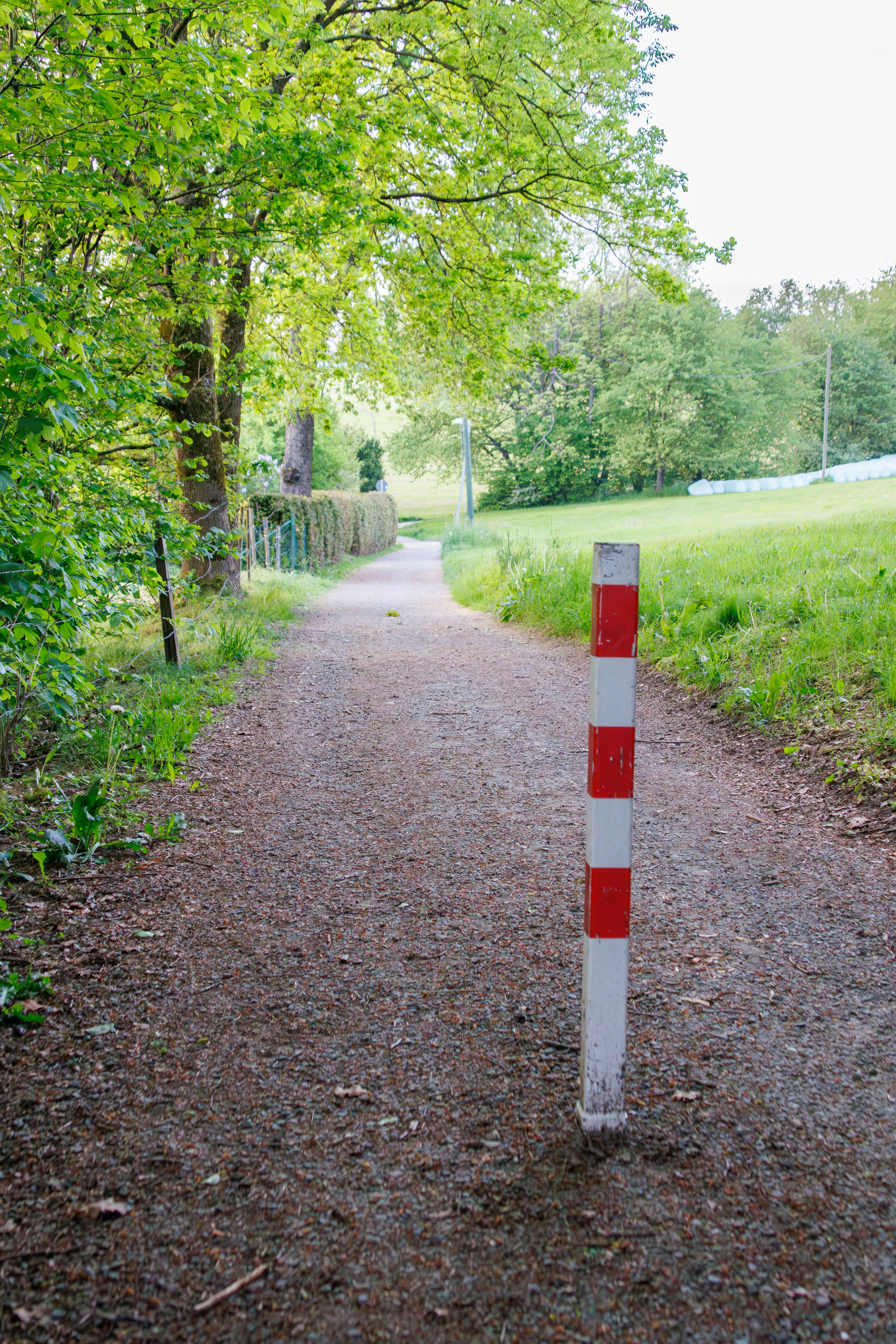 Photo by stockbirken