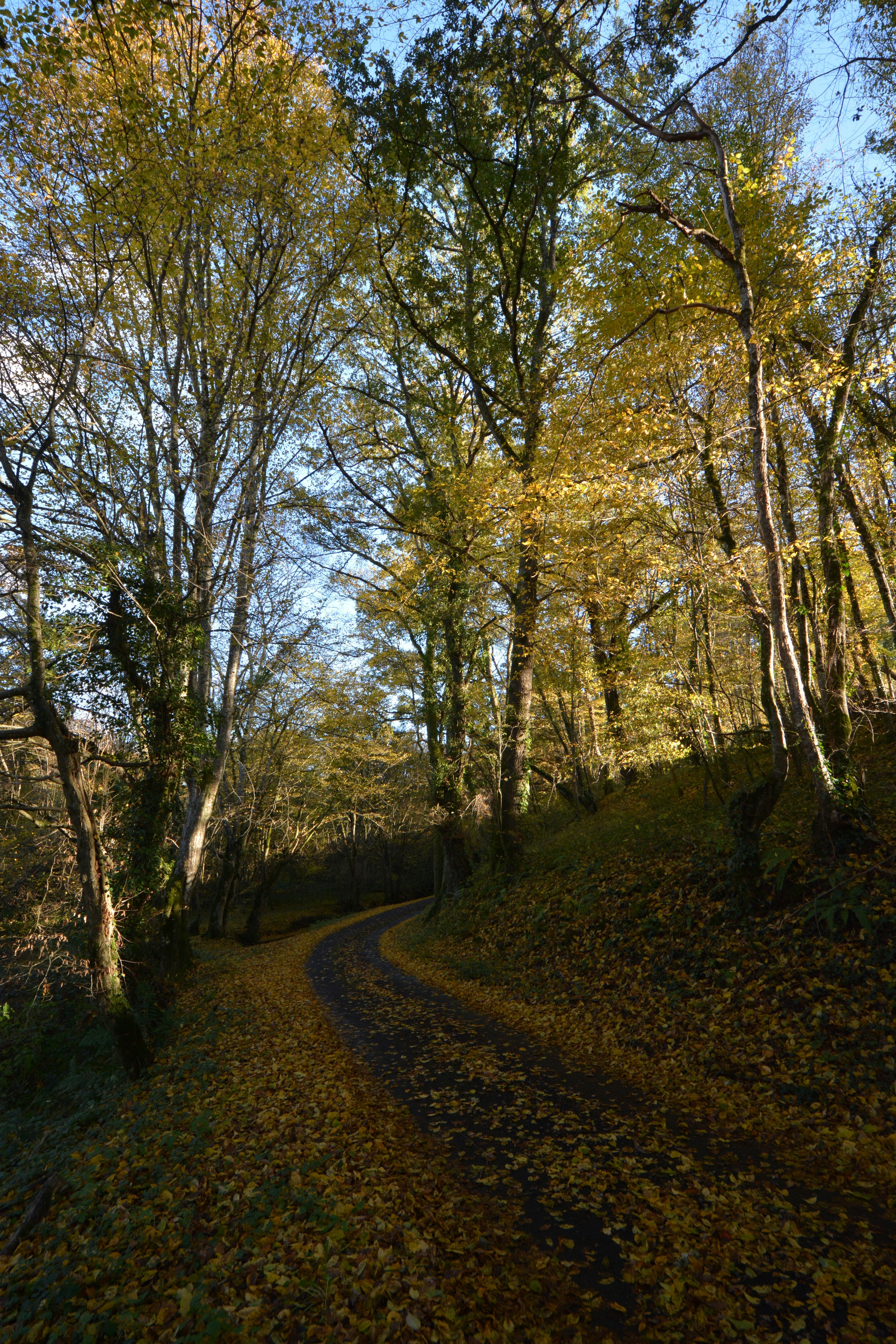 Photo by ashwinward18