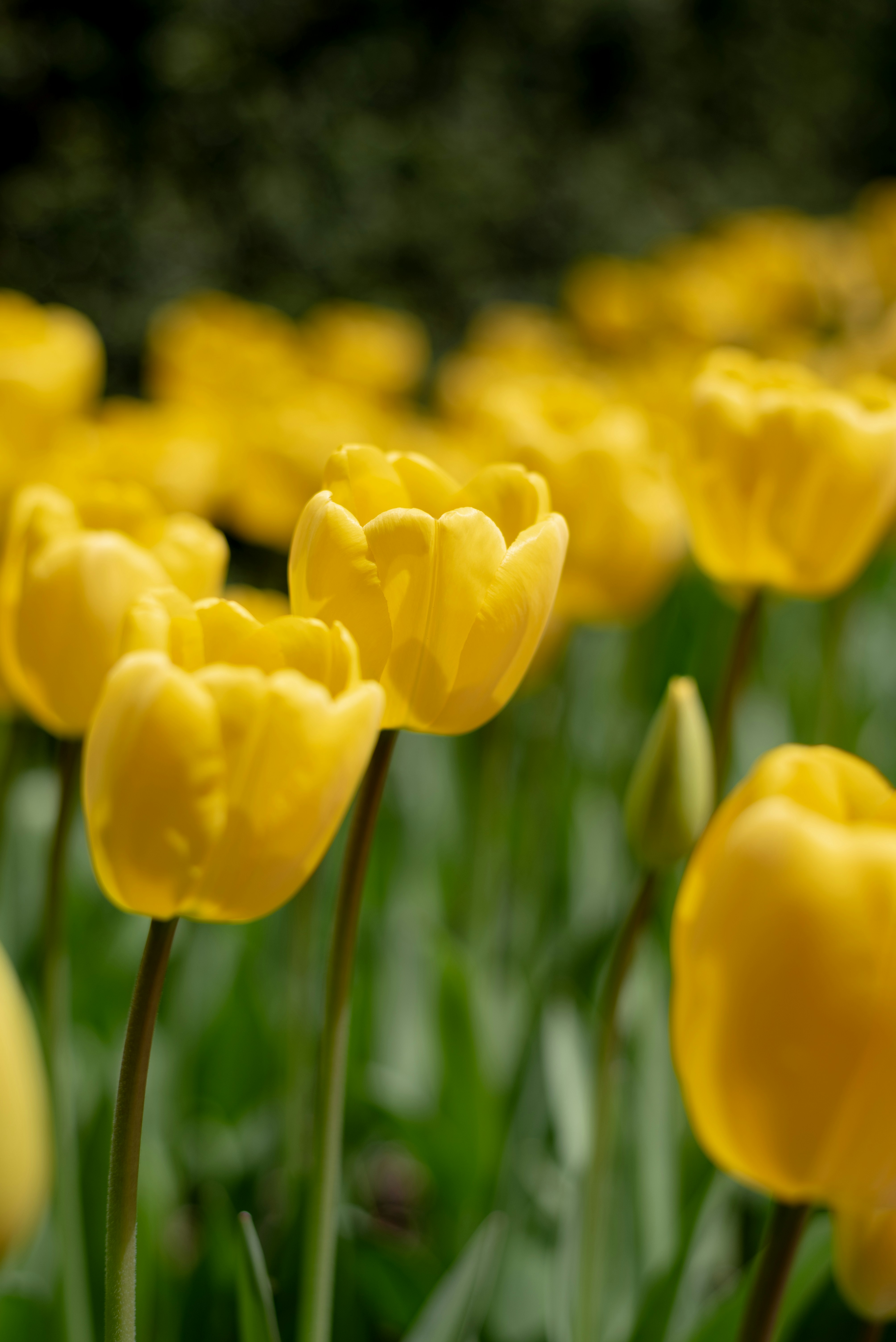 Photo by byrichardsosa