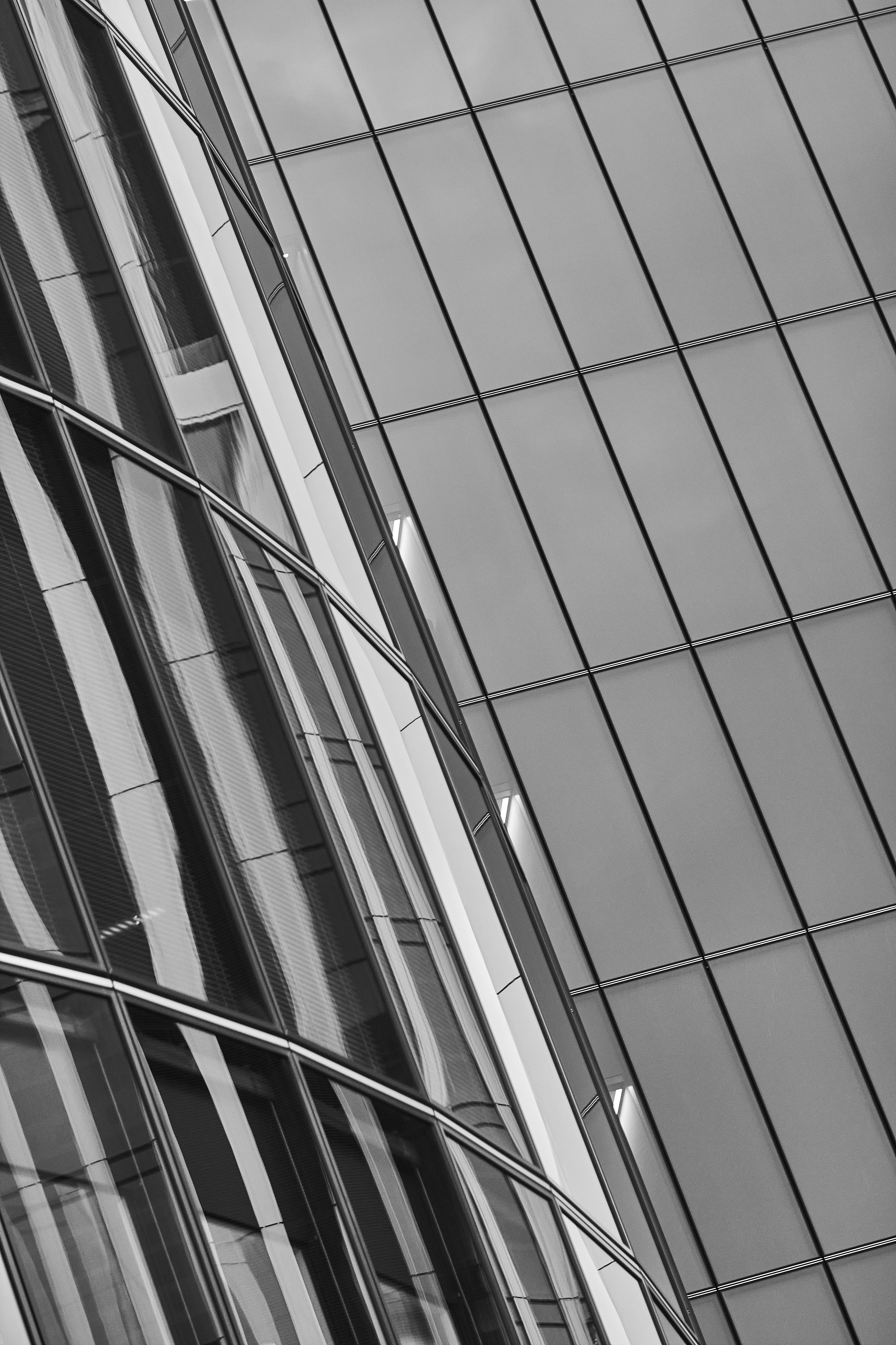 Photo by fridrik_r_schram