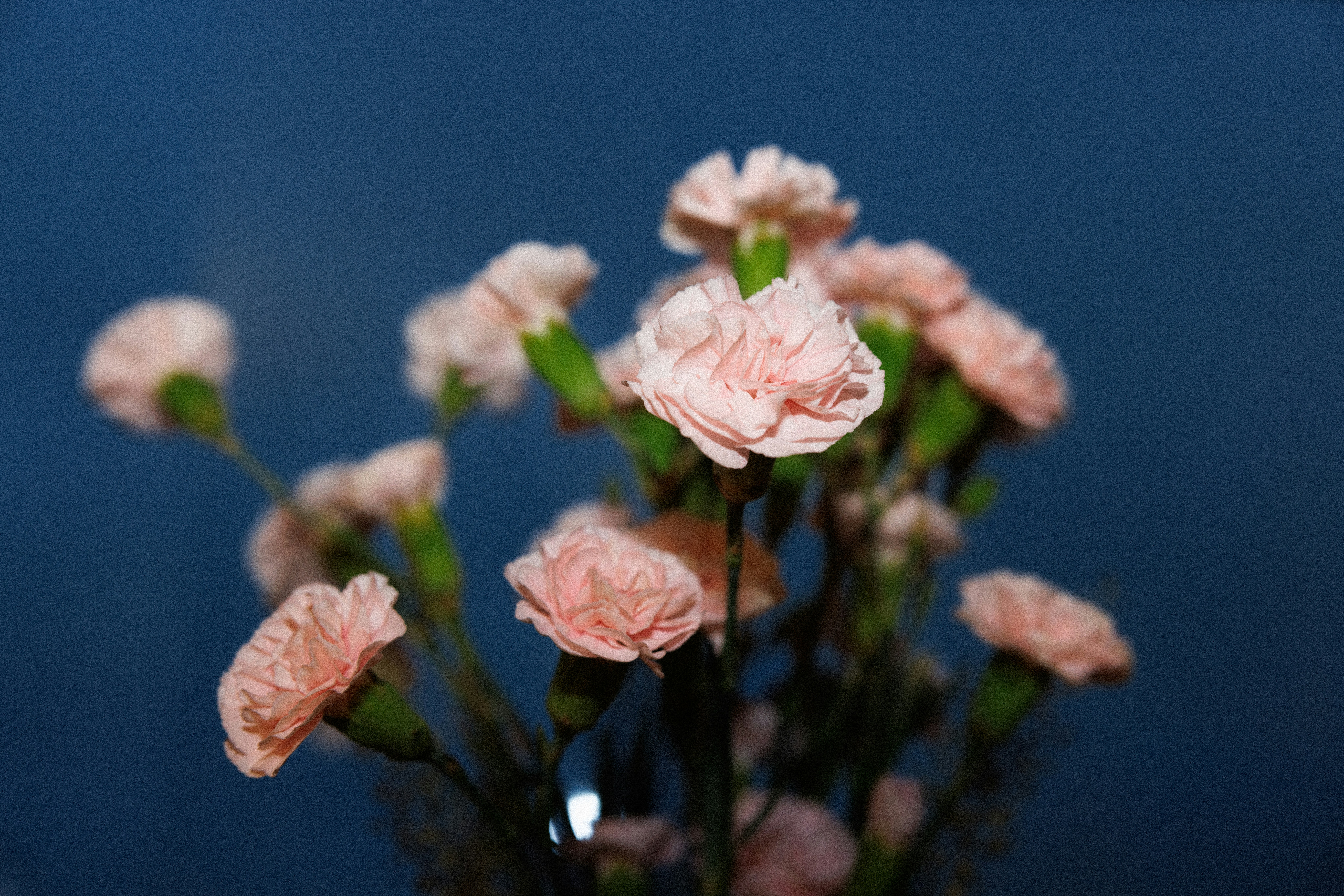 Photo by cheng_recluse