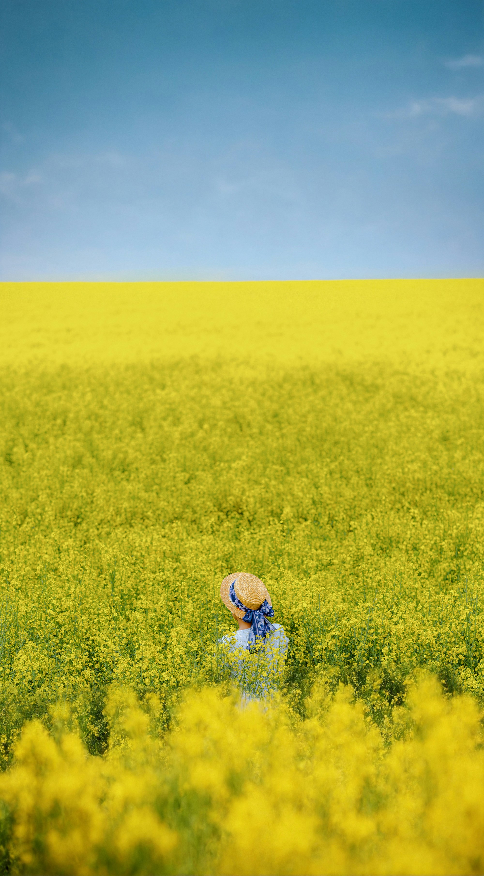 a person in a field with a umbrella
