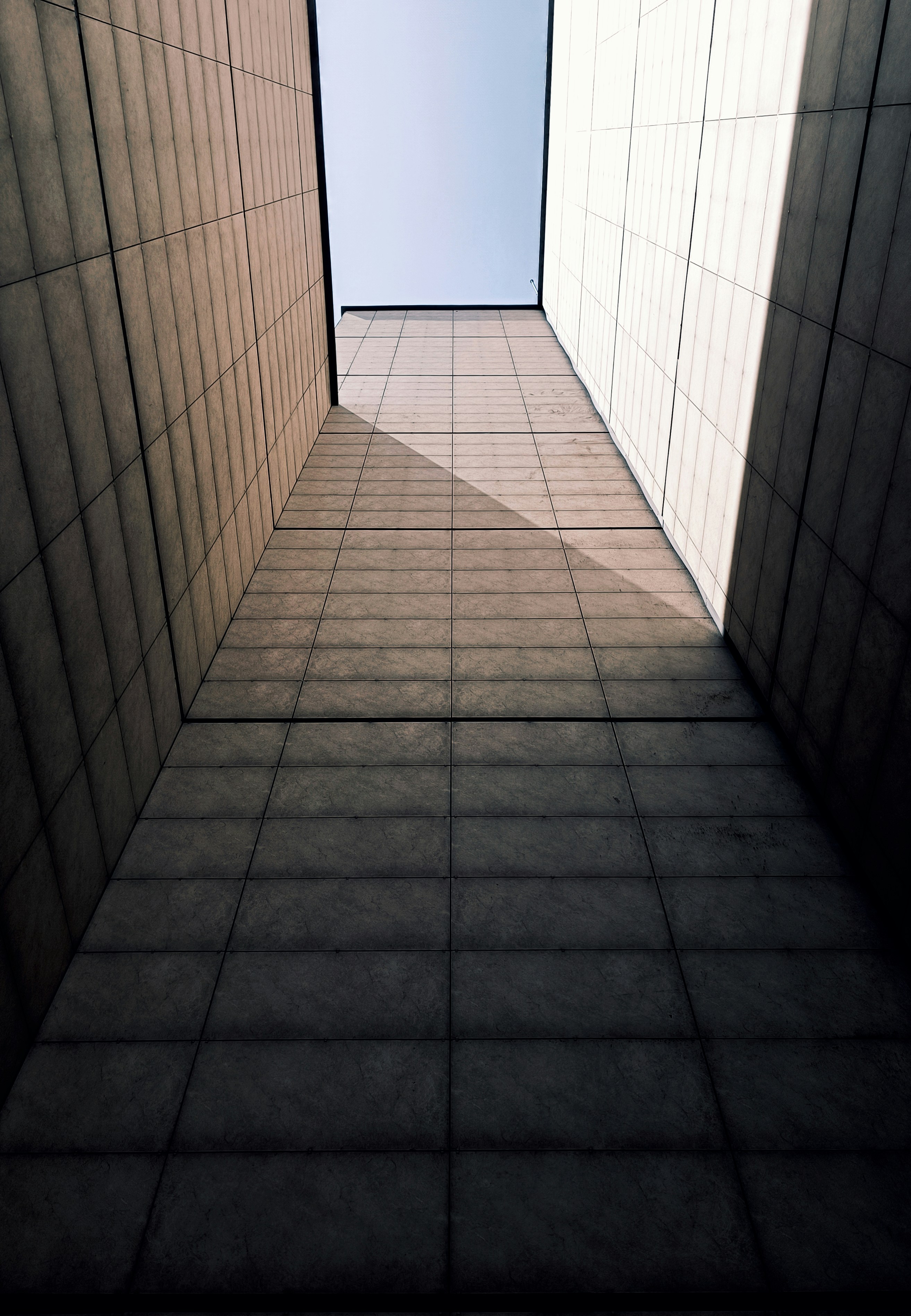 Photo by alirezamoslehii