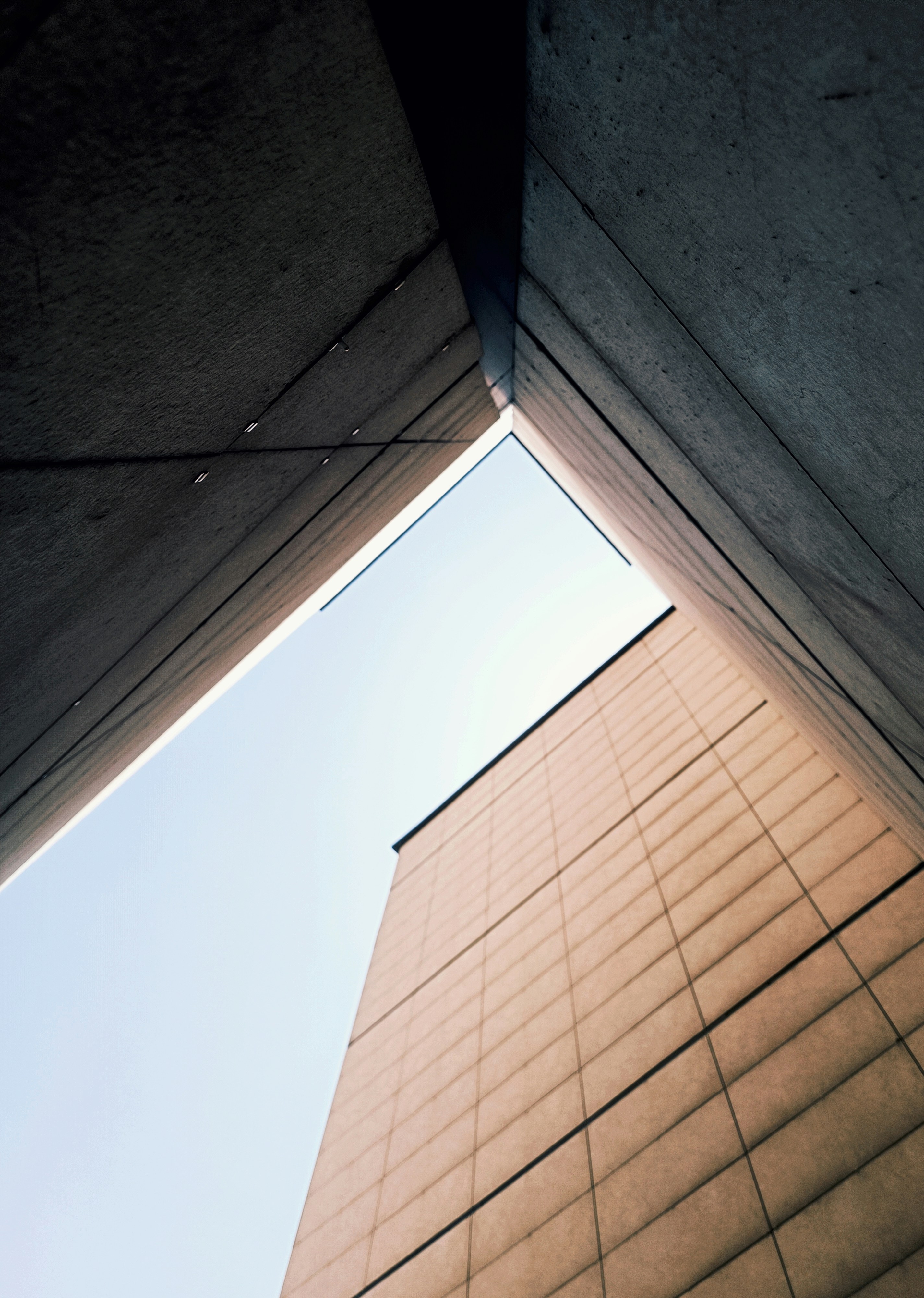 Photo by alirezamoslehii