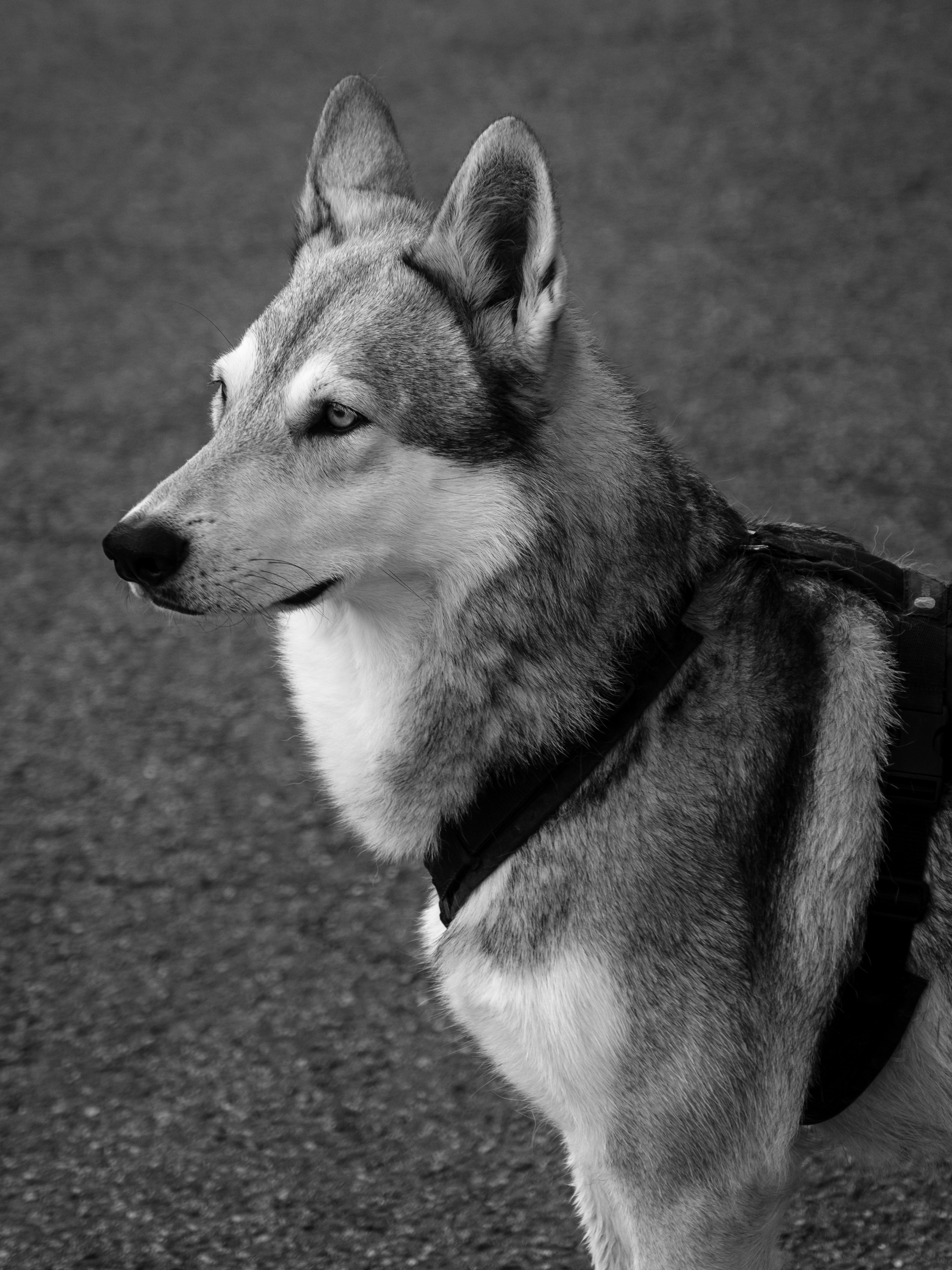 Photo by haberdoedas2