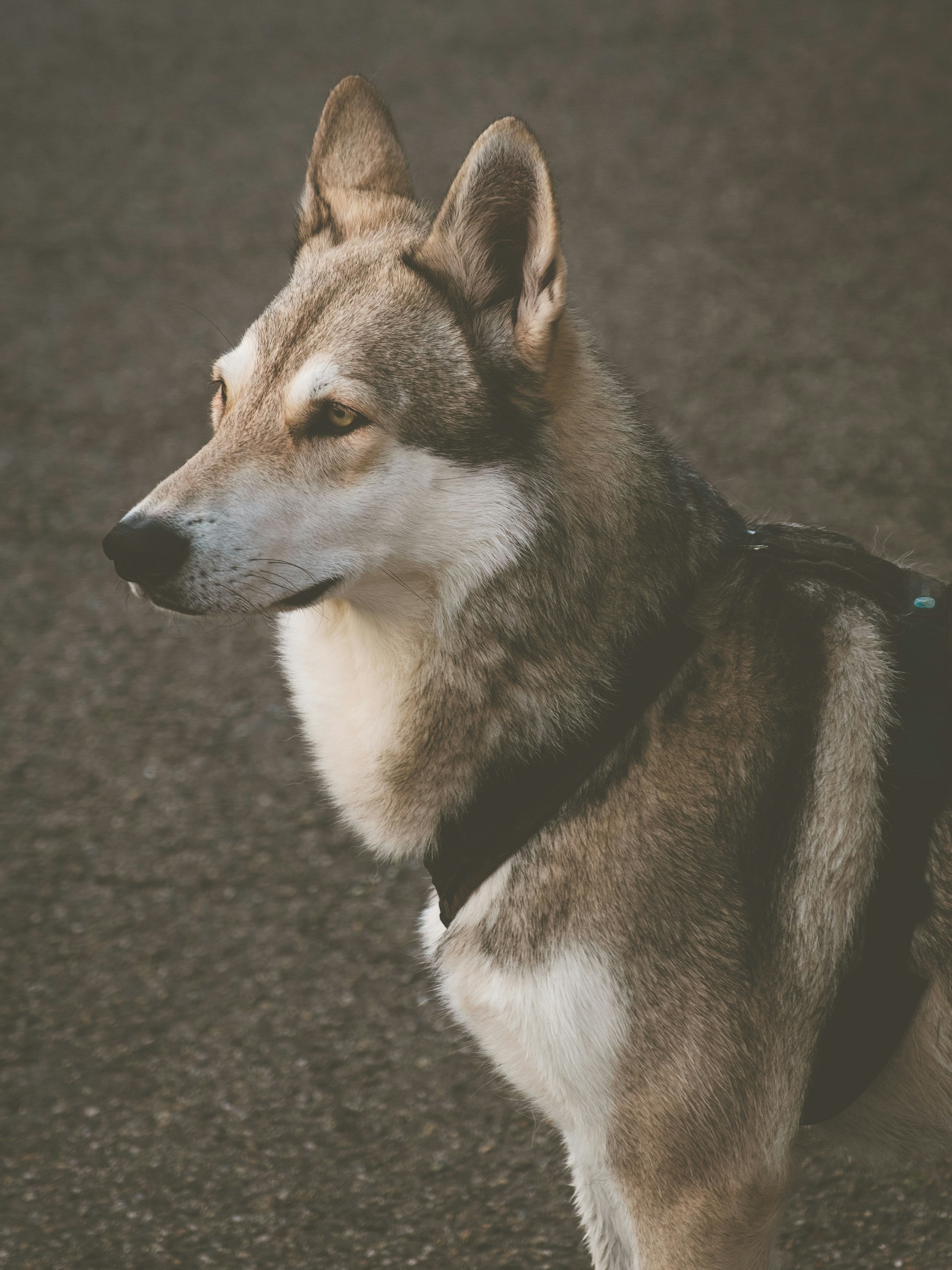 Photo by haberdoedas2