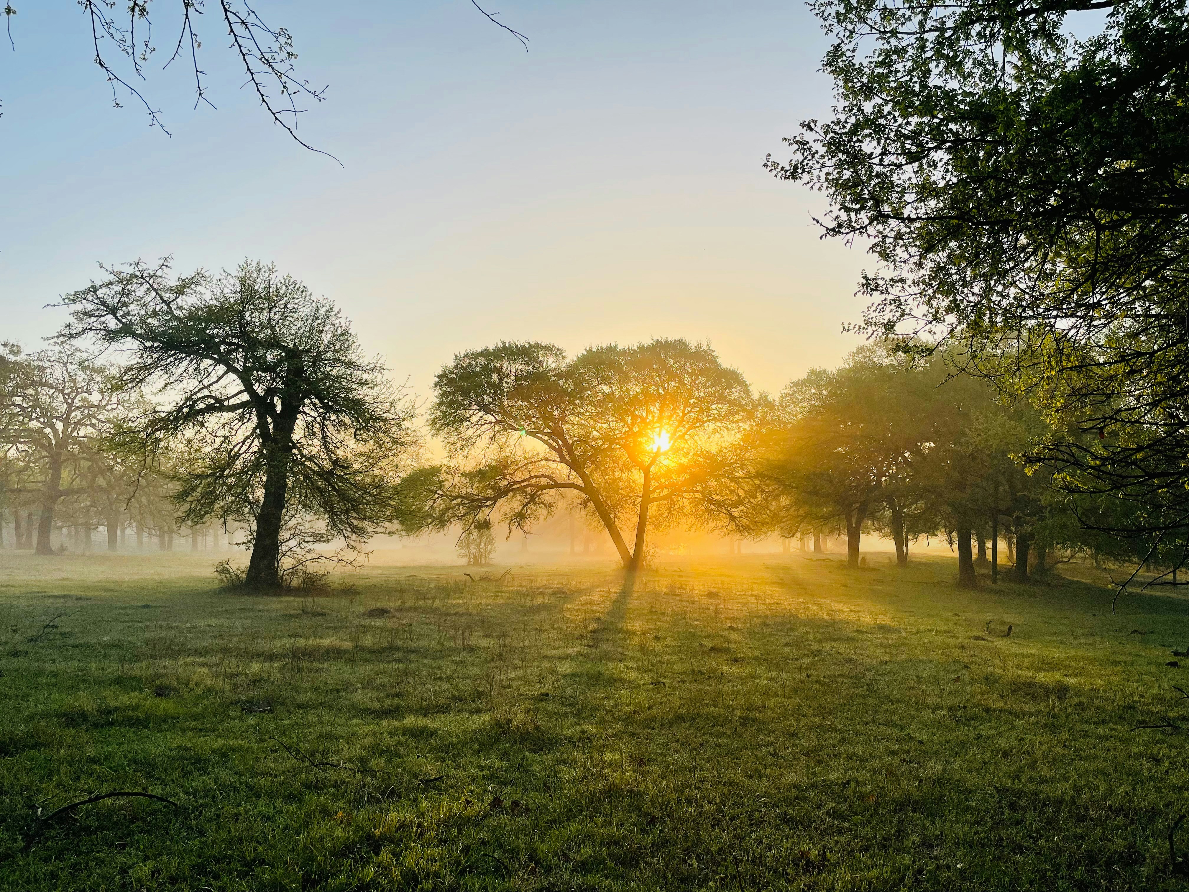 Photo by gibsoncrafton