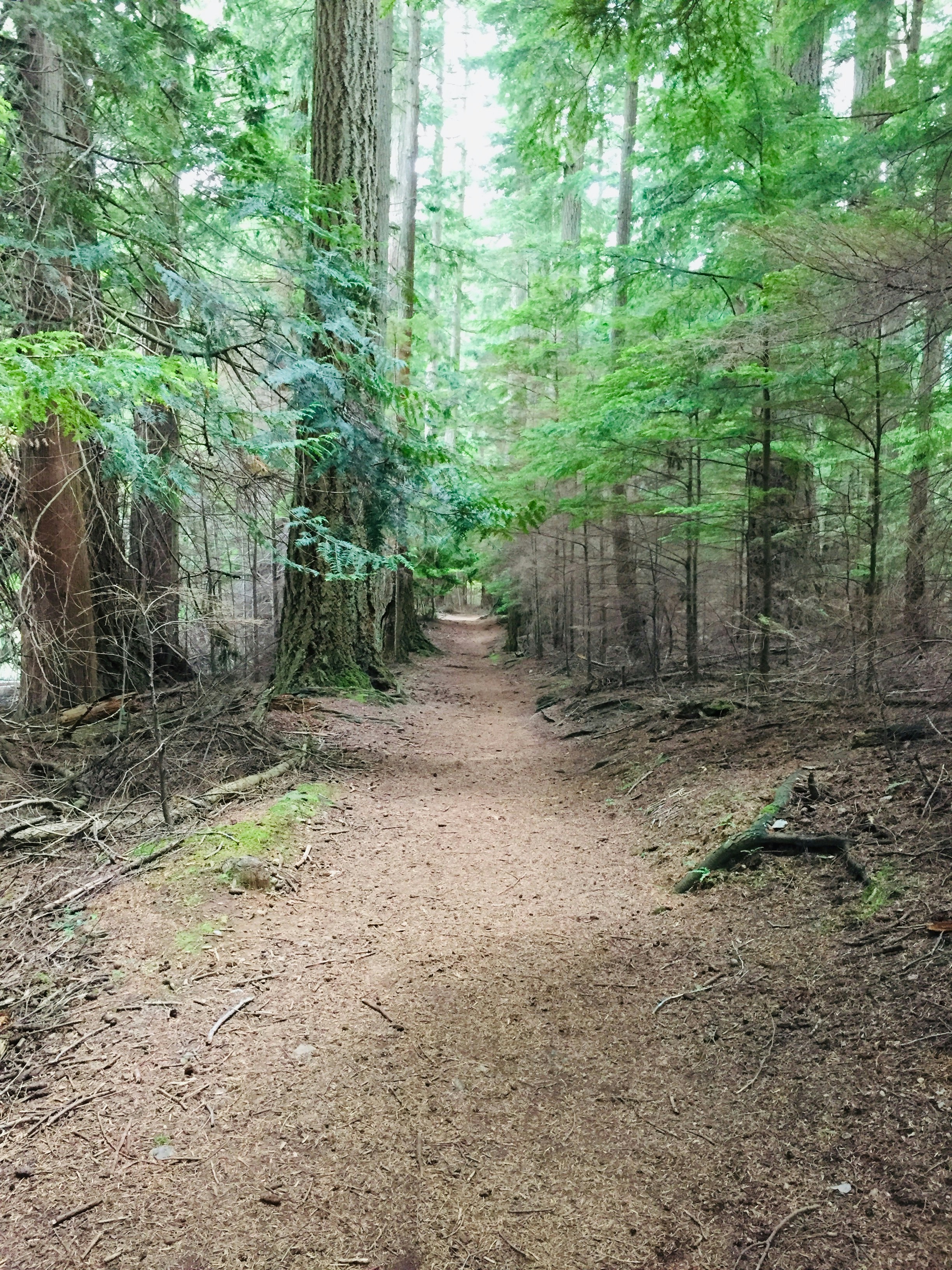 Photo by gibsoncrafton