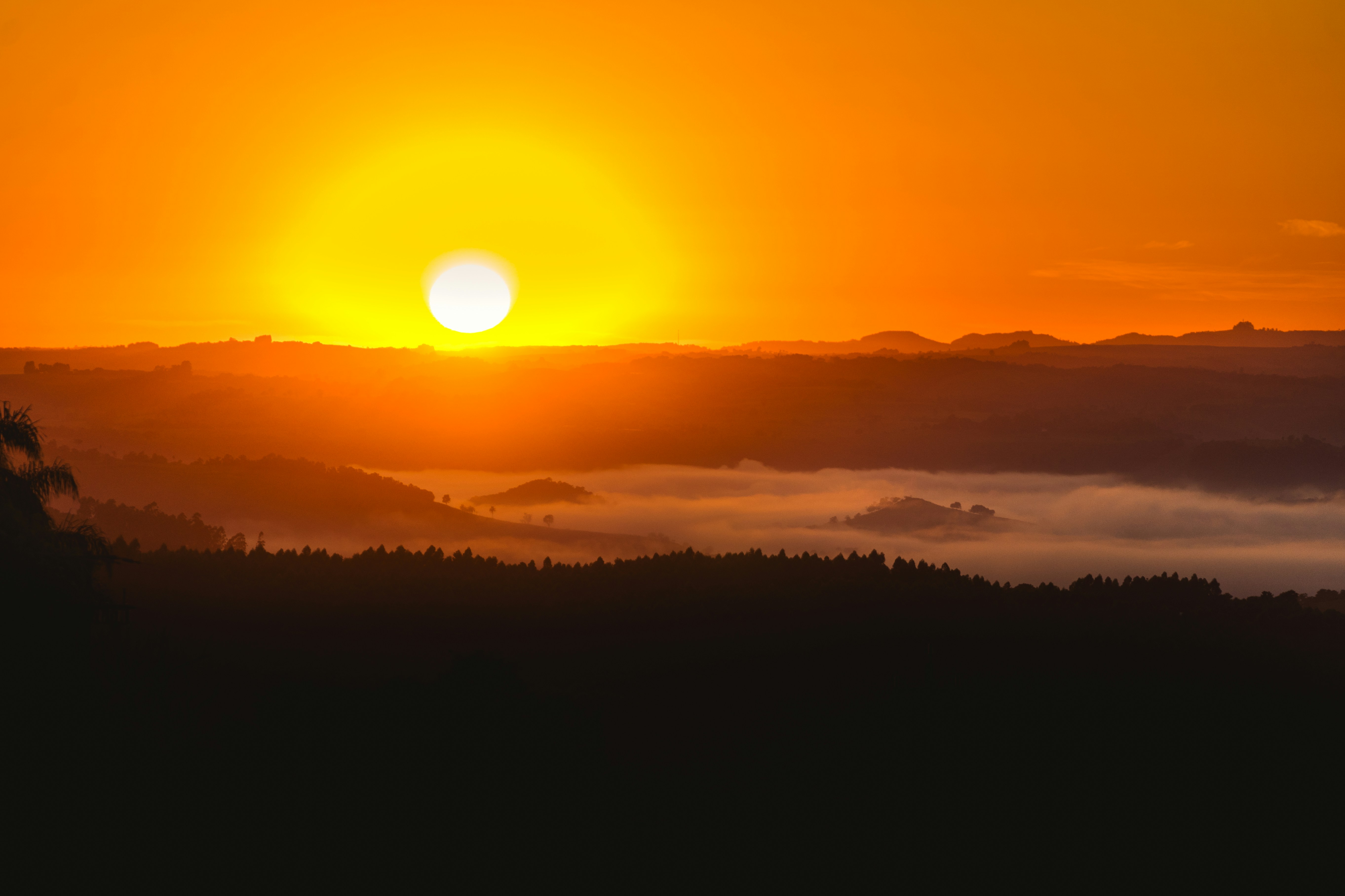 Photo by rogernobles