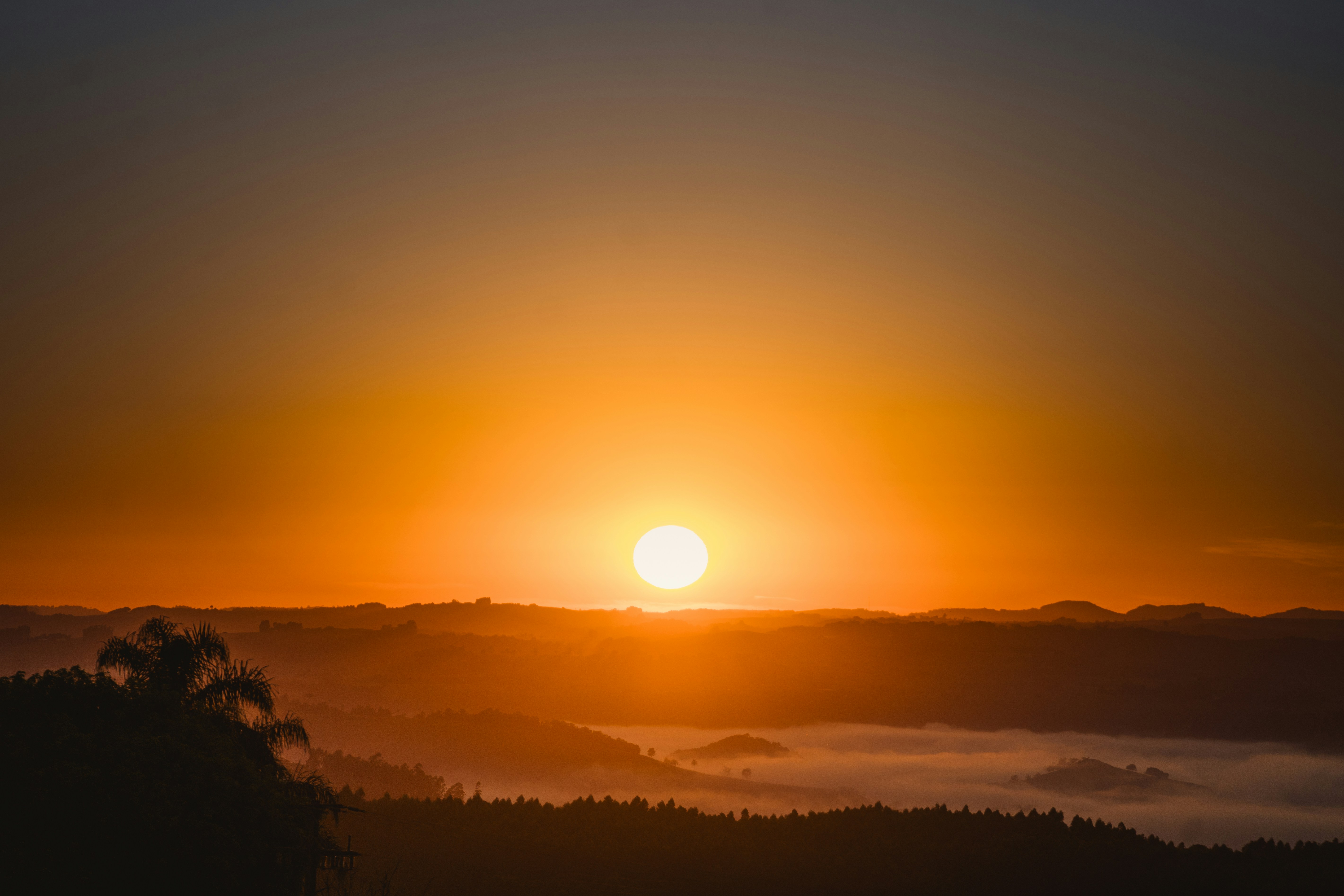 Photo by rogernobles