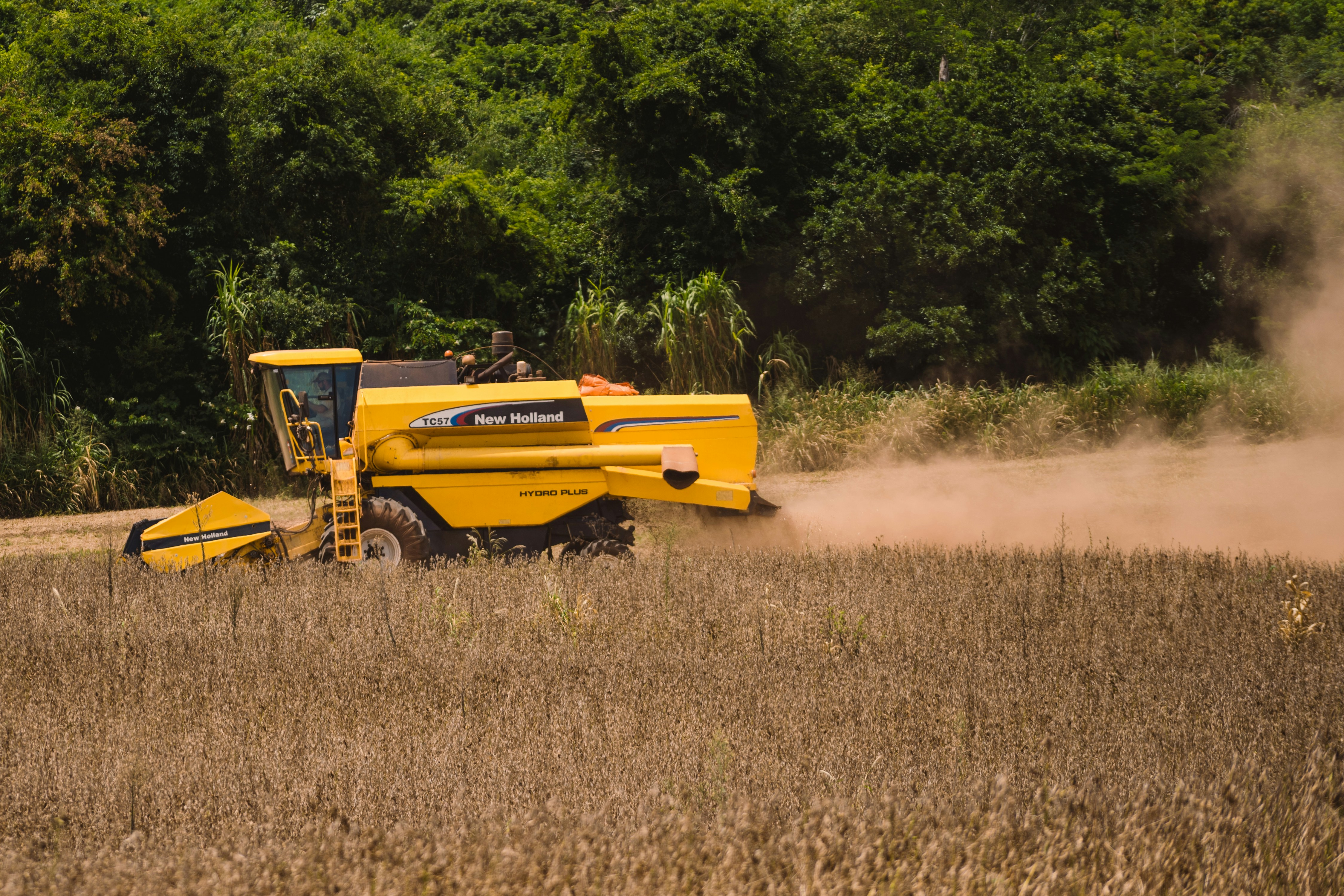 Photo by rogernobles