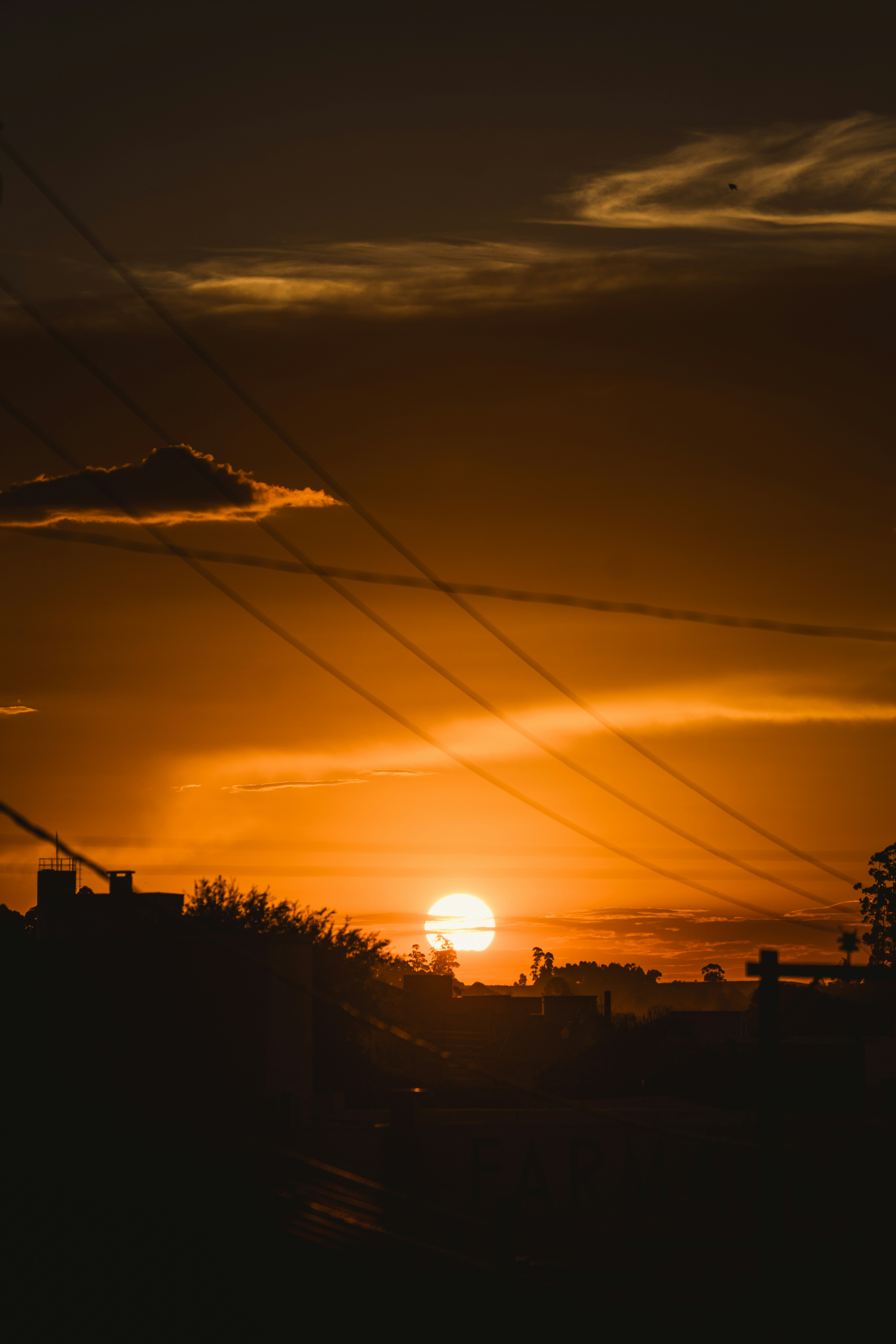 Photo by rogernobles